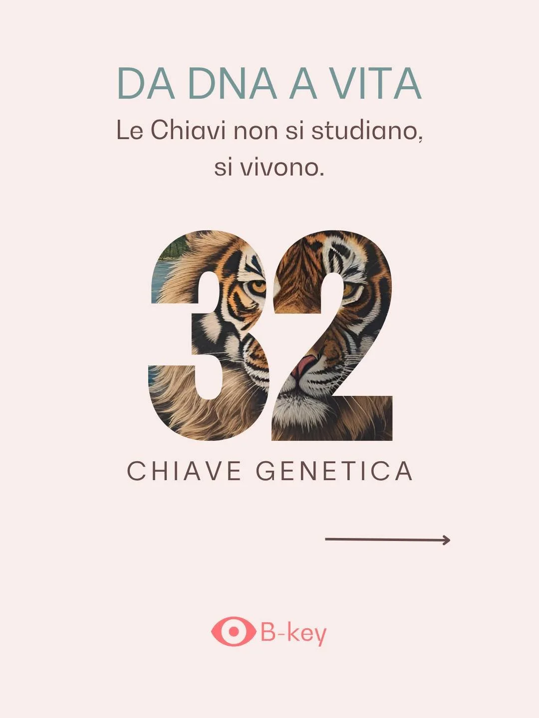 UNO SPAZIO CONCRETO PER ALLENARE LA TUA VERIT&Agrave;

Non basta pi&ugrave; accumulare conoscenze spirituali o concetti ispiranti: &egrave; tempo di viverli. Le Chiavi Genetiche non sono solo parole, ma strumenti per guardarti dentro, riconoscere ci&