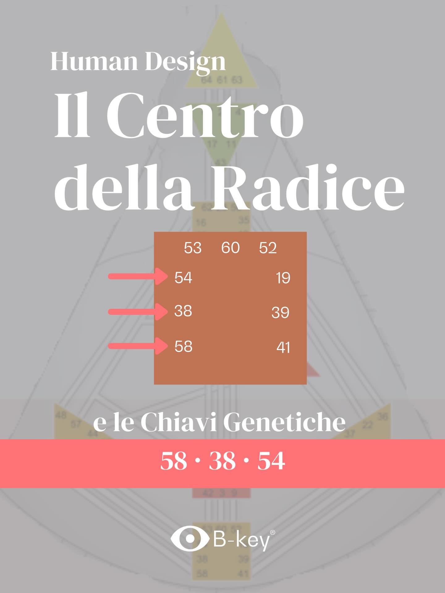 Il Centro della Radice &egrave; uno dei motori pi&ugrave; potenti del sistema umano.

&Egrave; il luogo da cui nasce la pressione biologica che spinge la vita ad agire, cambiare ed
evolvere.

All&rsquo;interno di questo centro si trovano tre Chiavi G
