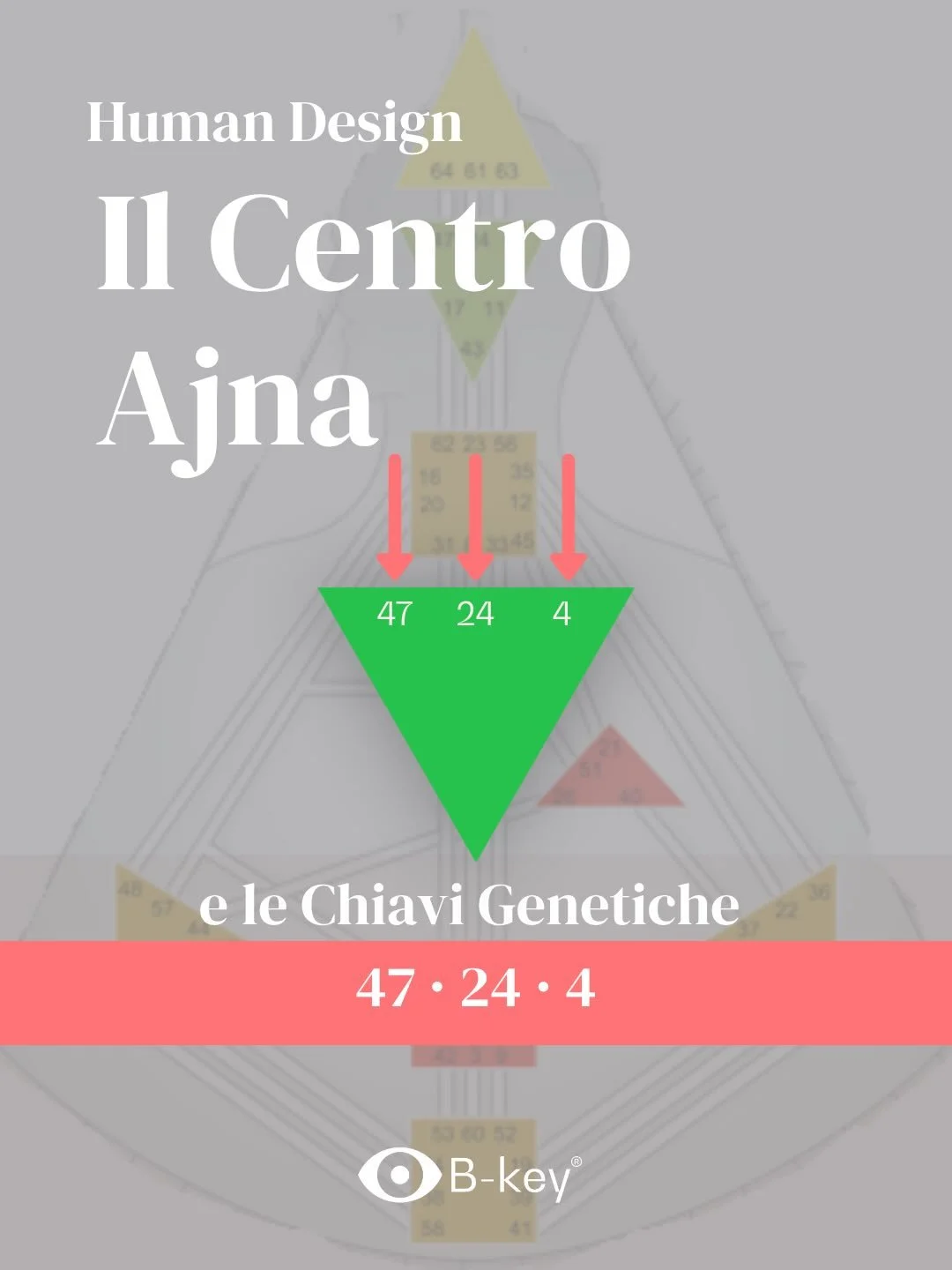 Ti &egrave; mai capitato di sentirti in trappola nei tuoi stessi pensieri, cercando disperatamente di dare un senso a tutto o di avere la risposta giusta?
In Human Design, il Centro Ajna &egrave; il tuo centro di consapevolezza mentale. &Egrave; un m