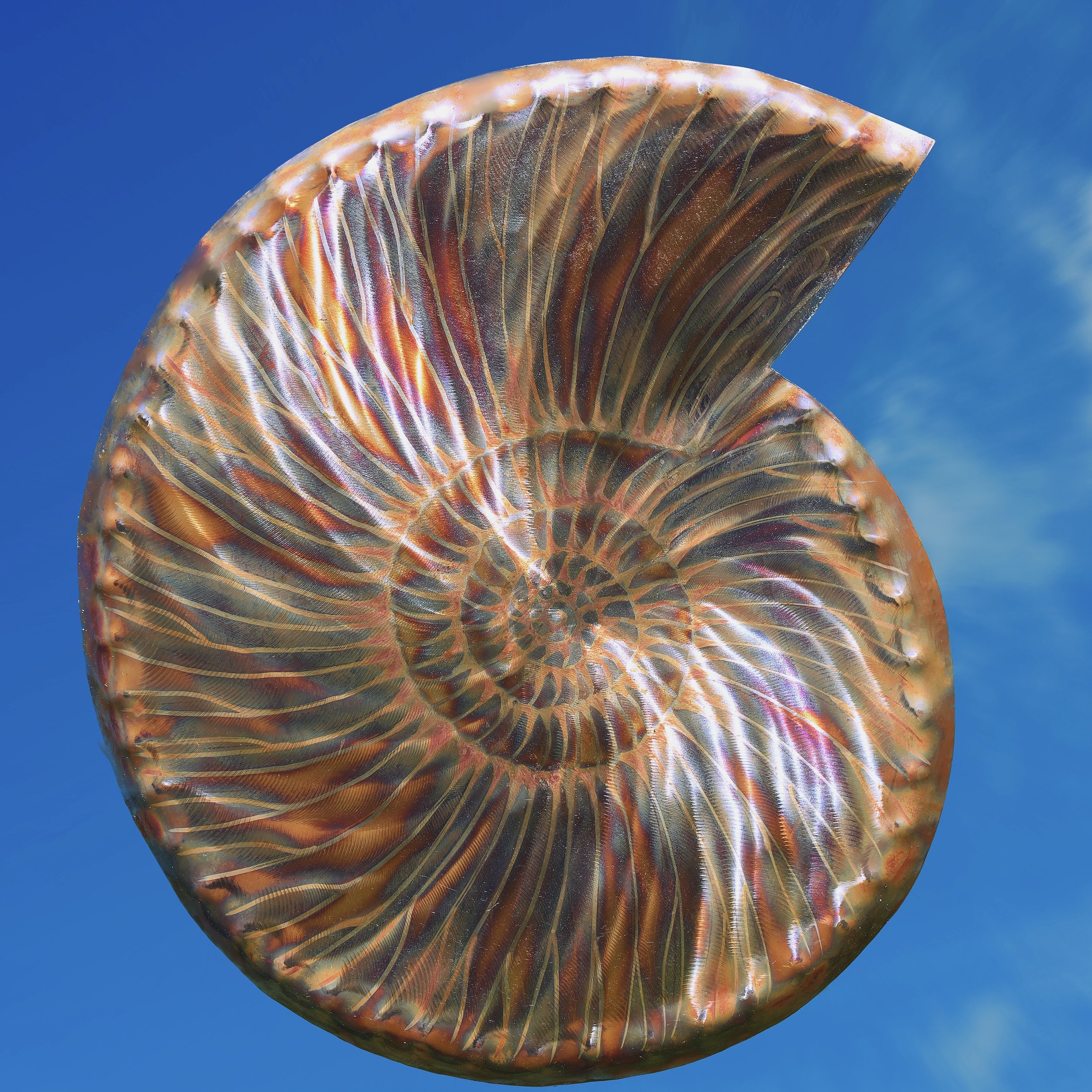 D22788E8-C152-4434-9EA6-D6D0713BAE6D.jpeg