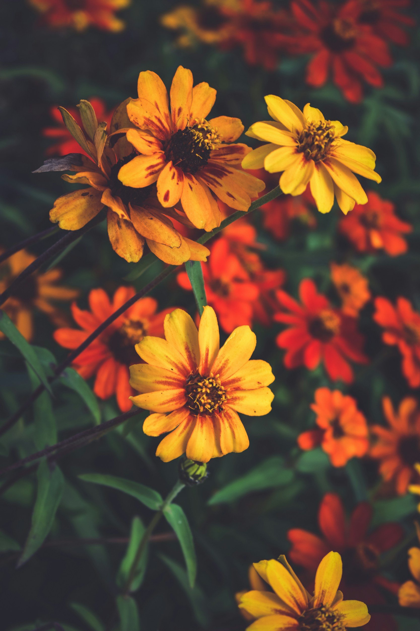 It’s Not Always About You: Learning Grace, Compassion, and Discernment Through Life’s Seasons