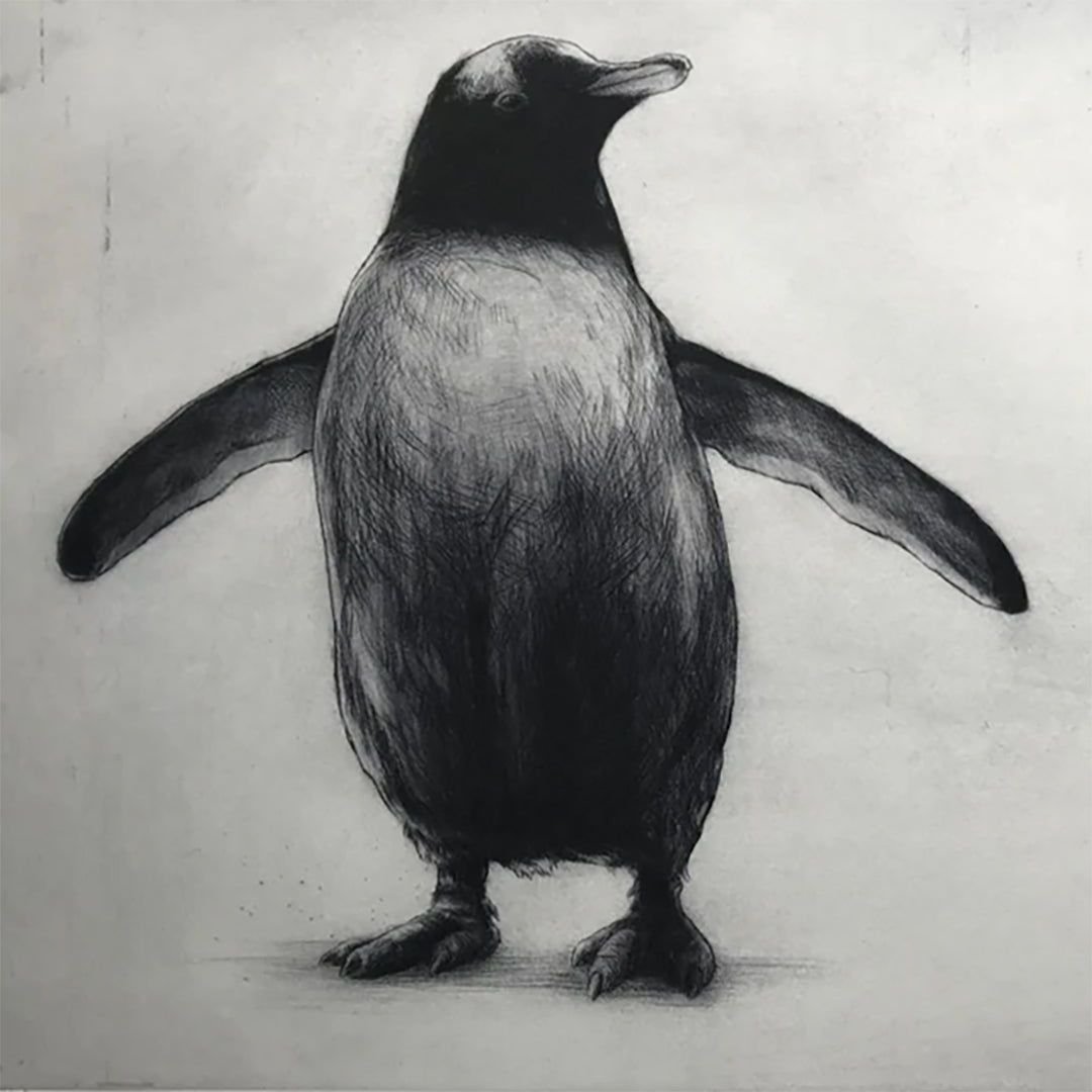 Designed for our 30th anniversary, we have a limited edition of just 150 reprints of renowned artist Helen Fay&rsquo;s 2004 drypoint etching of a gentoo penguin. Currently on sale with &pound;25 off.

🛍️ Visit our shop via the link in our bio