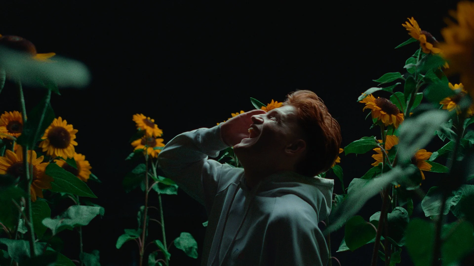 Museum Night – The First Time