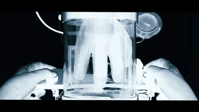 Gore-Tex | Comfort Science