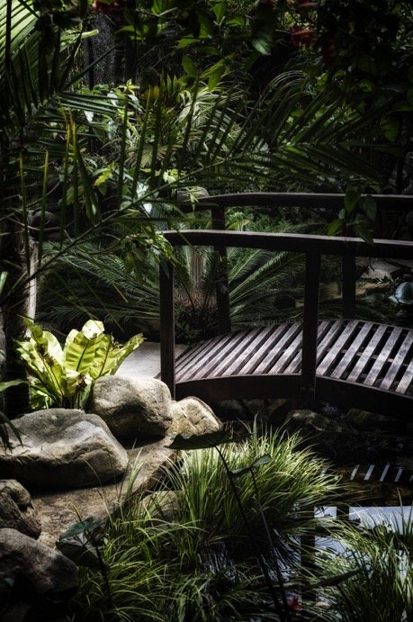 BRIDGE OF FORGIVENESS — Jun 22 2023. The Sacred Space, Ojai, California. Nikon Z7ii w/ Nikkor S 24-70mm F4 Z lens at 59mm, 1/60s, f/7.1, ISO 100. Color.