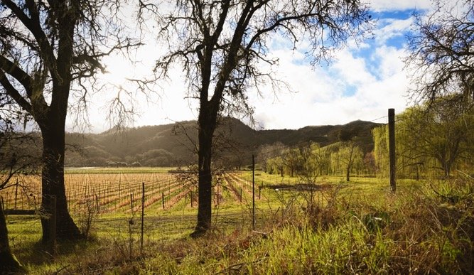 2023-02-22 - Mendo Peacefield.jpeg