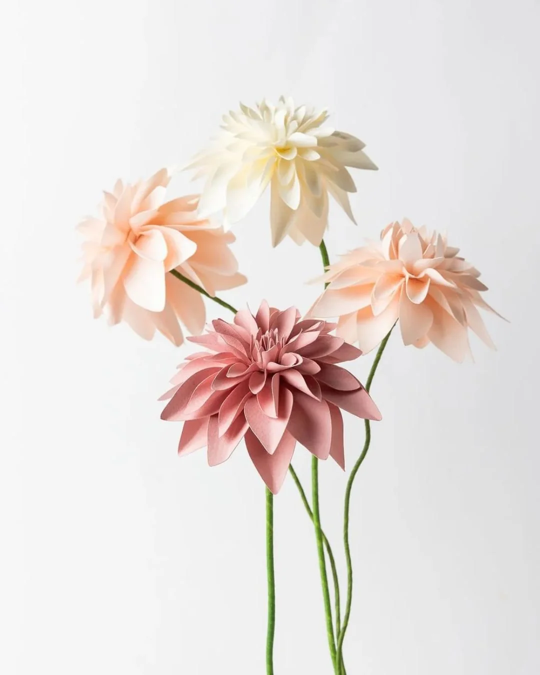 Never wilts, never imitates.

Cut, shaped, and assembled by hand, the Dalia paper flower captures the idea of nature &mdash; not through imitation, but interpretation. 
Layered petals create depth. 
Color choices suggest gardens, without copying them