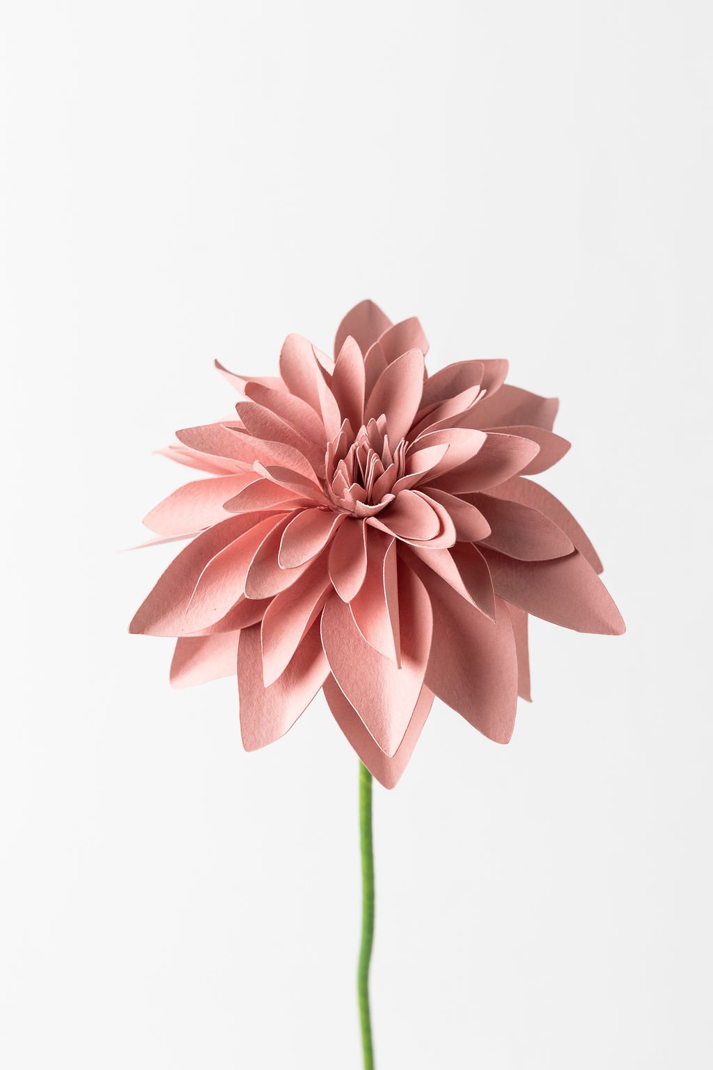 florencefactory-9590.jpg