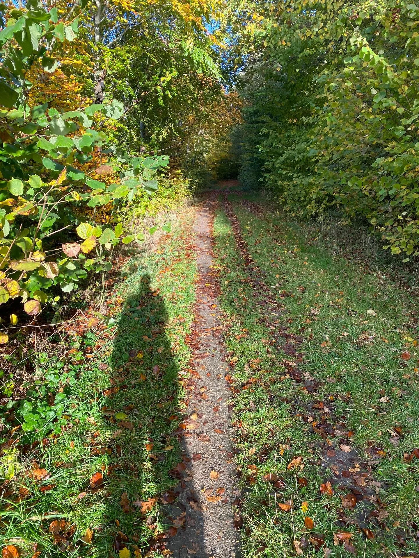 L I VE T  B Y D E R. S I G  I morges regnende det. Nu skinner solen. 
Naturen byder sig og vi har ingen kontrol over det, men m&aring; forholde os til det. 
Naturen er som livet. Livet byder sig, men vi ved ikke med hvad og hvorn&aring;r. Vi kan m&os