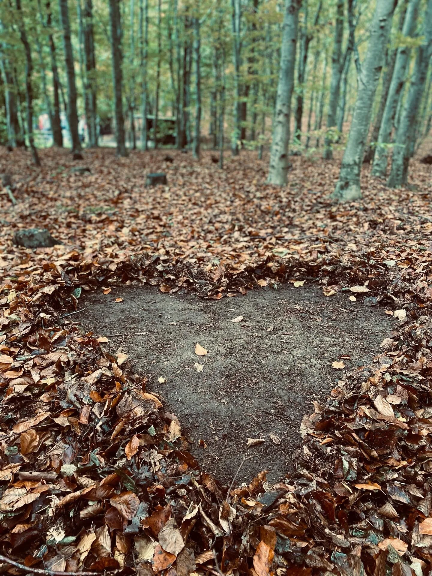 H J E R T E V A R M E 

&hellip; er den slags varme, der spreder sig fra menneske til menneske og g&oslash;r verden lidt bl&oslash;dere og mere menneskelig; oprigtig venlighed, omsorg, empati og k&aelig;rlighed .. 

Lad ogs&aring; din HJERTEVARME 
ve