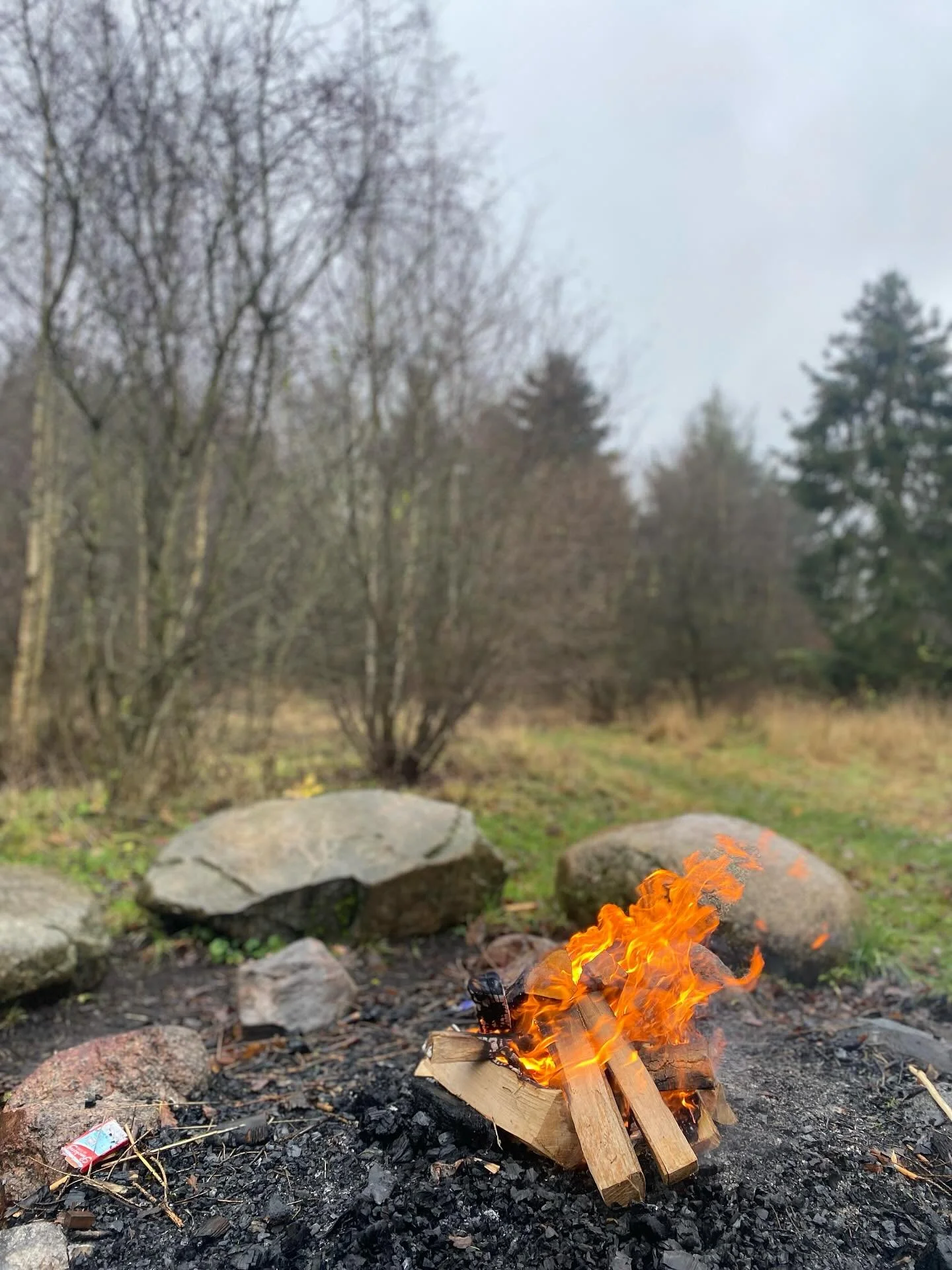 N A T U R - T U R 

Vinterregnen forhindrede ikke dagens deltagere i at betr&aelig;de hjertestien, udforske taknemlighed og s&aelig;tte ord p&aring; det som dukkede op gennem naturens elementer. 
NATURTERAPI viste sig igen at v&aelig;re en jordn&aeli
