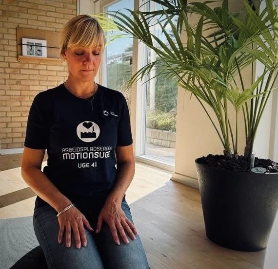 P A U S E - T R I V S E L - F &AElig; L L E S K A B 

I samarbejde med @firmaidr&aelig;tten havde jeg i dag forn&oslash;jelsen af, at facilitere bev&aelig;gende pauser til rigtig mange arbejdspladser. 
De havde meldt sig ind p&aring; en eller flere o