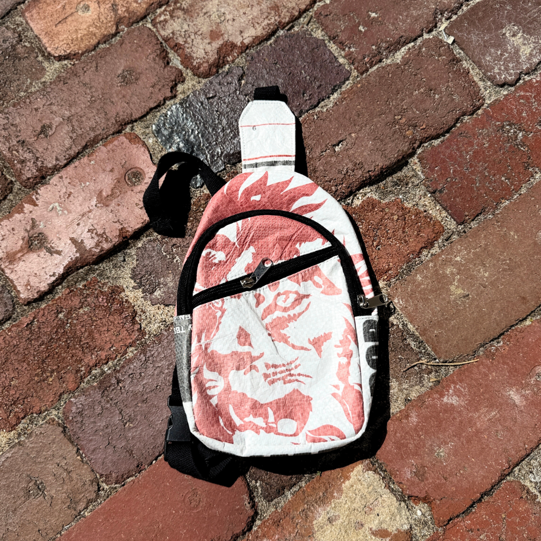 Bag | Monosling | Simba