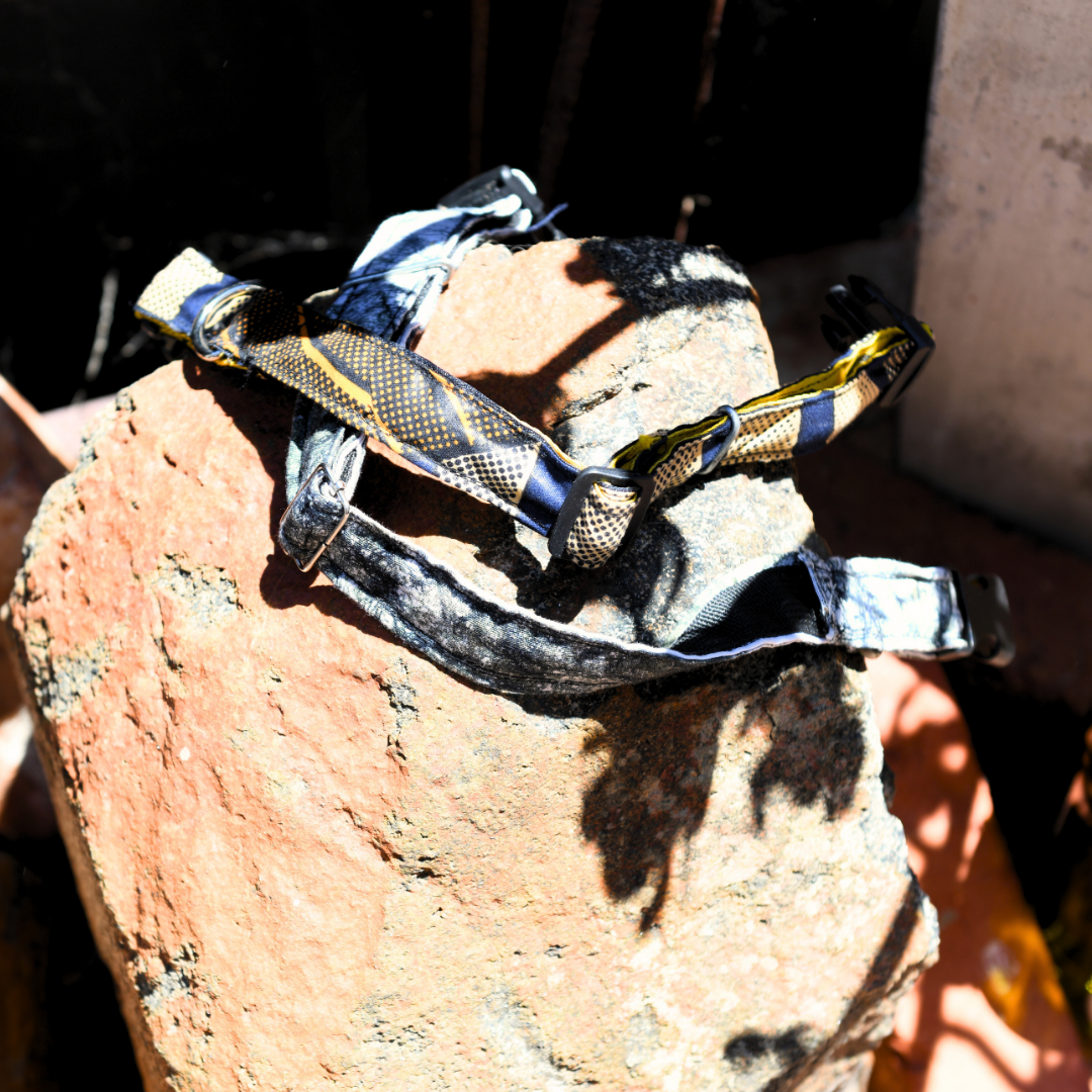 Dog collar Medium Forrest and blue-yellow.png (Copy)