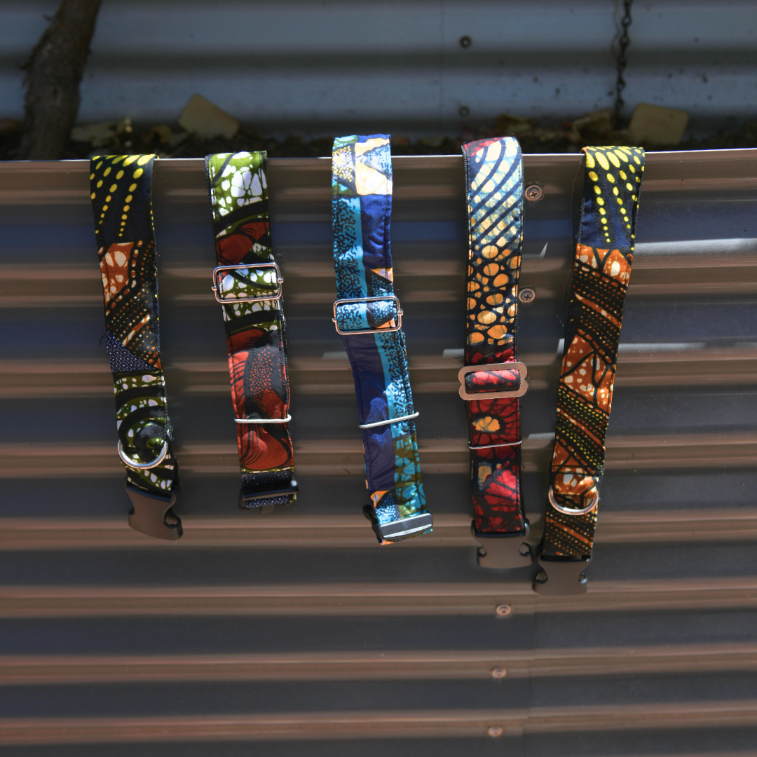 Dog Collar Large All 2.png (Copy) (Copy) (Copy)