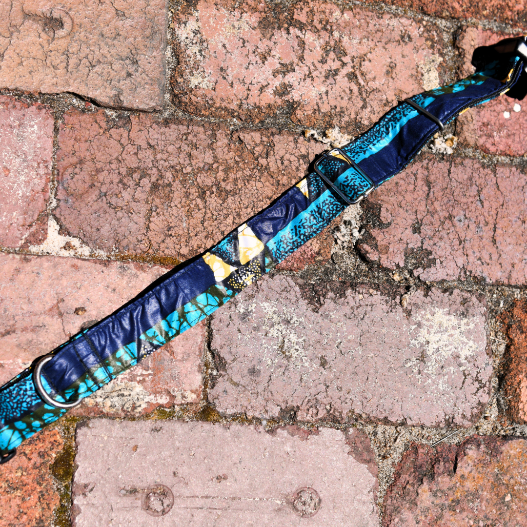 Dog Collar Large Blue 2.png