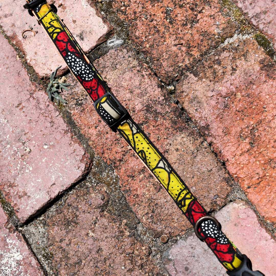 Pets | Dog Collar | Small | Red & Yellow | Stripe Back