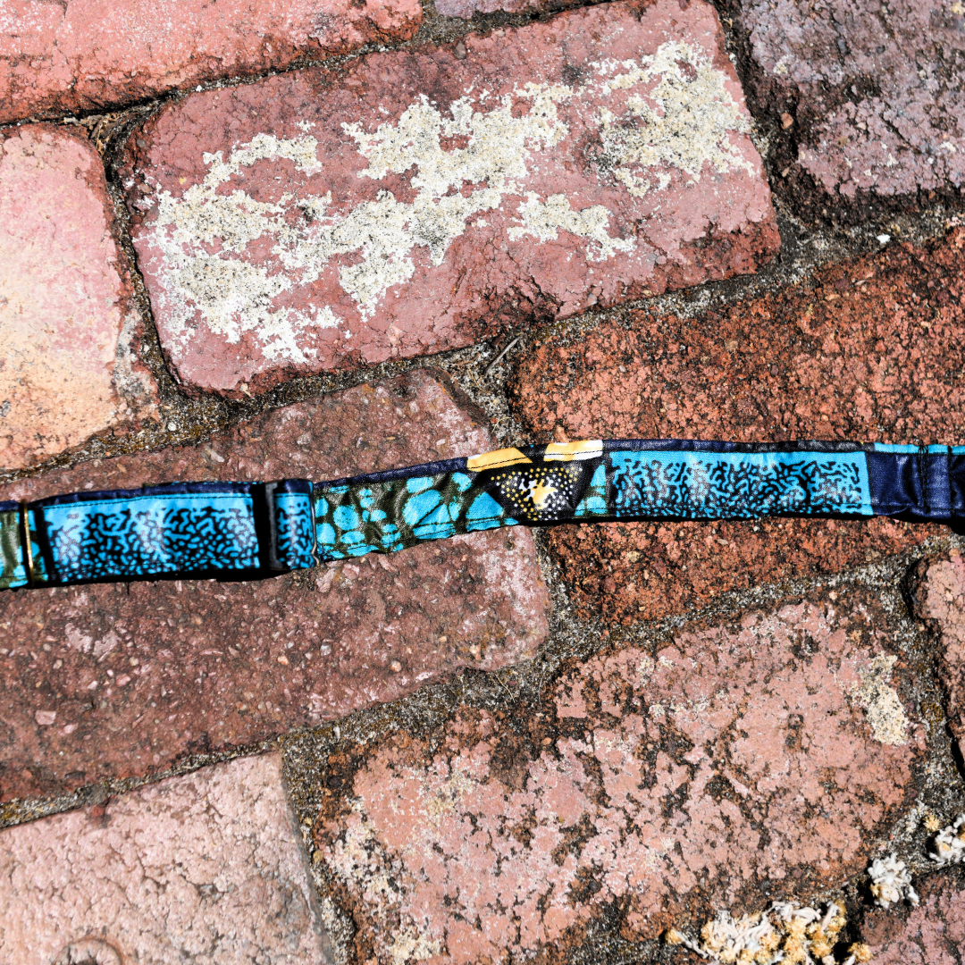 Pets | Dog Collar | Medium | Blue