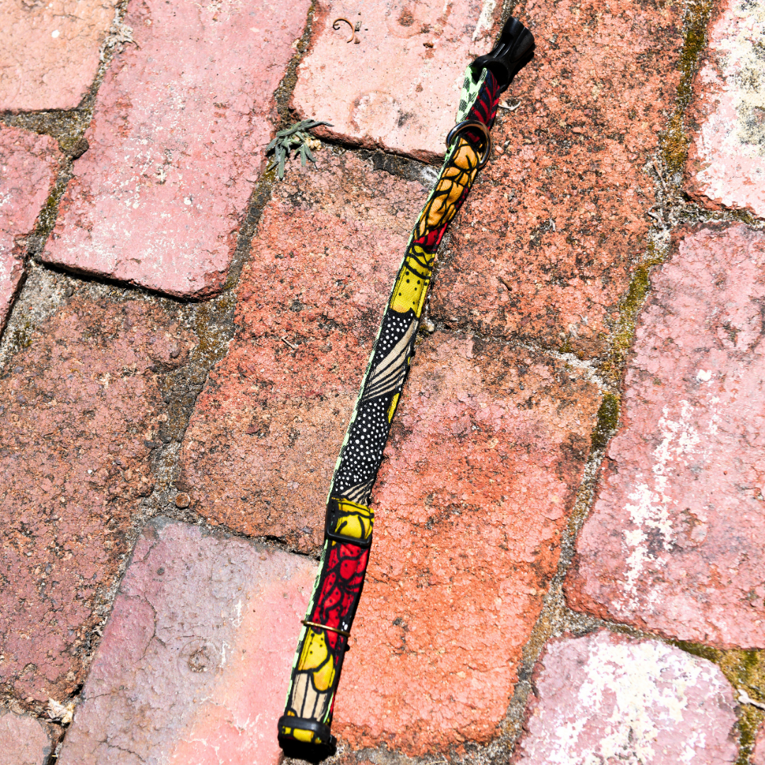 Pets | Dog Collar | Small | Red & Yellow | Green Back