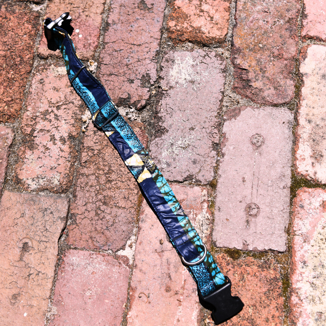 Pets | Dog Collar | Large | Blue