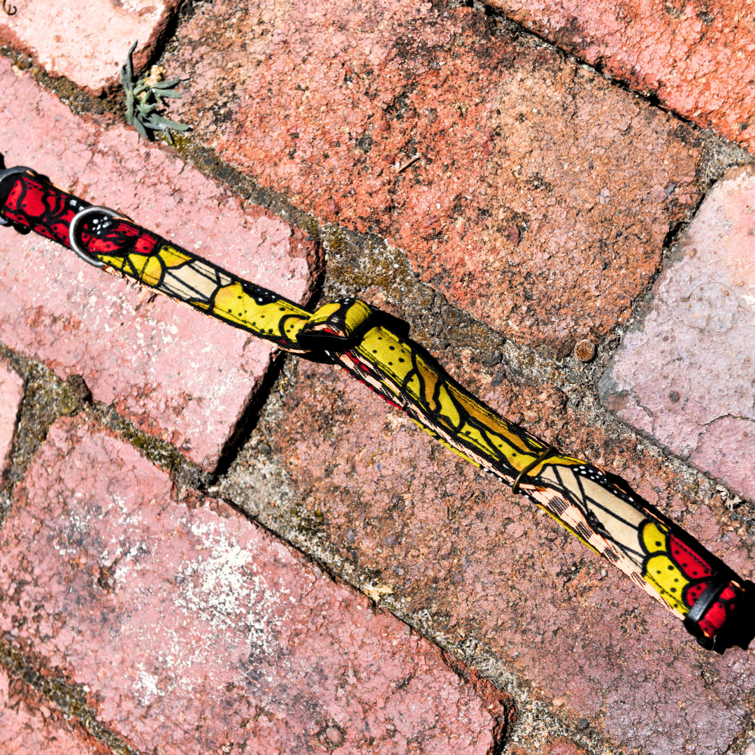 Pets | Dog Collar | Small | Red & Yellow | Square Back