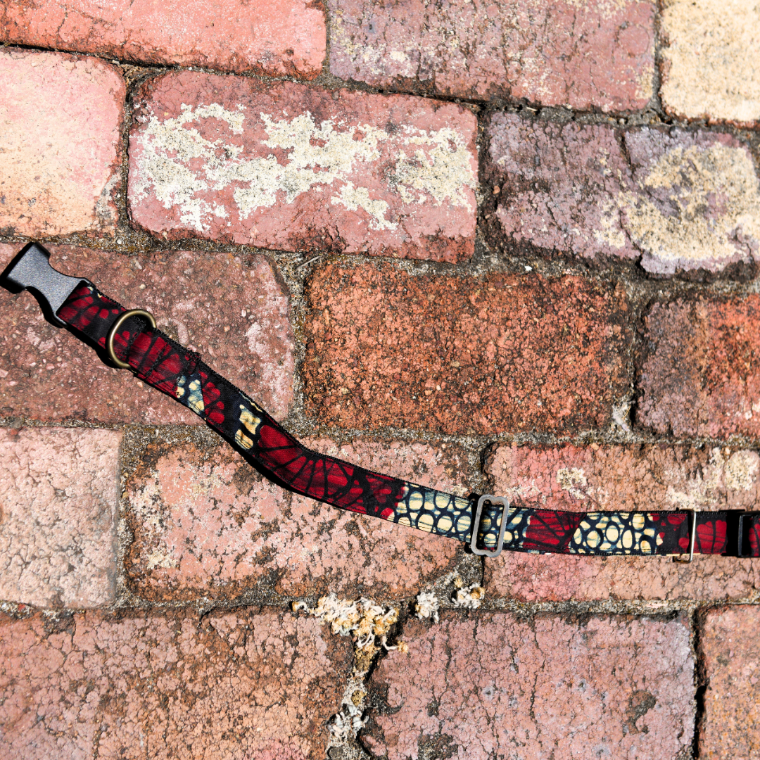 Pets | Dog Collar | Medium | Red & Blue