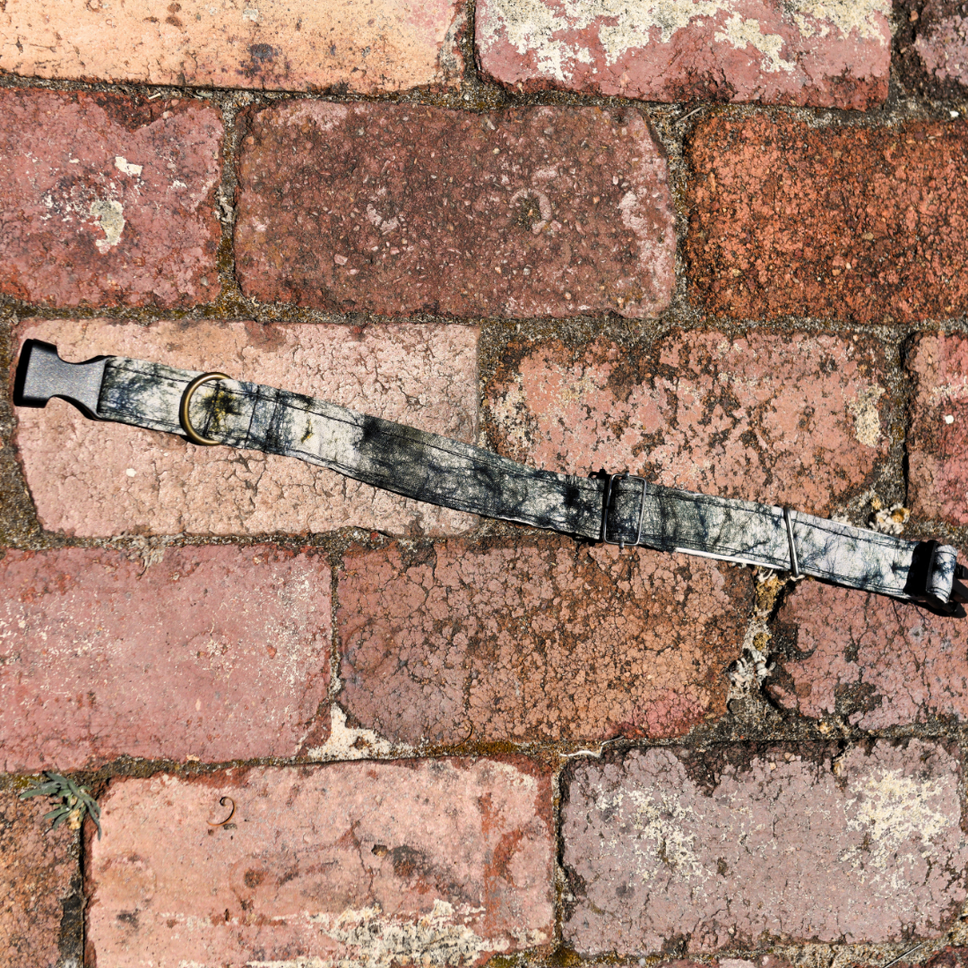 Pets | Dog Collar | Medium | Forrest