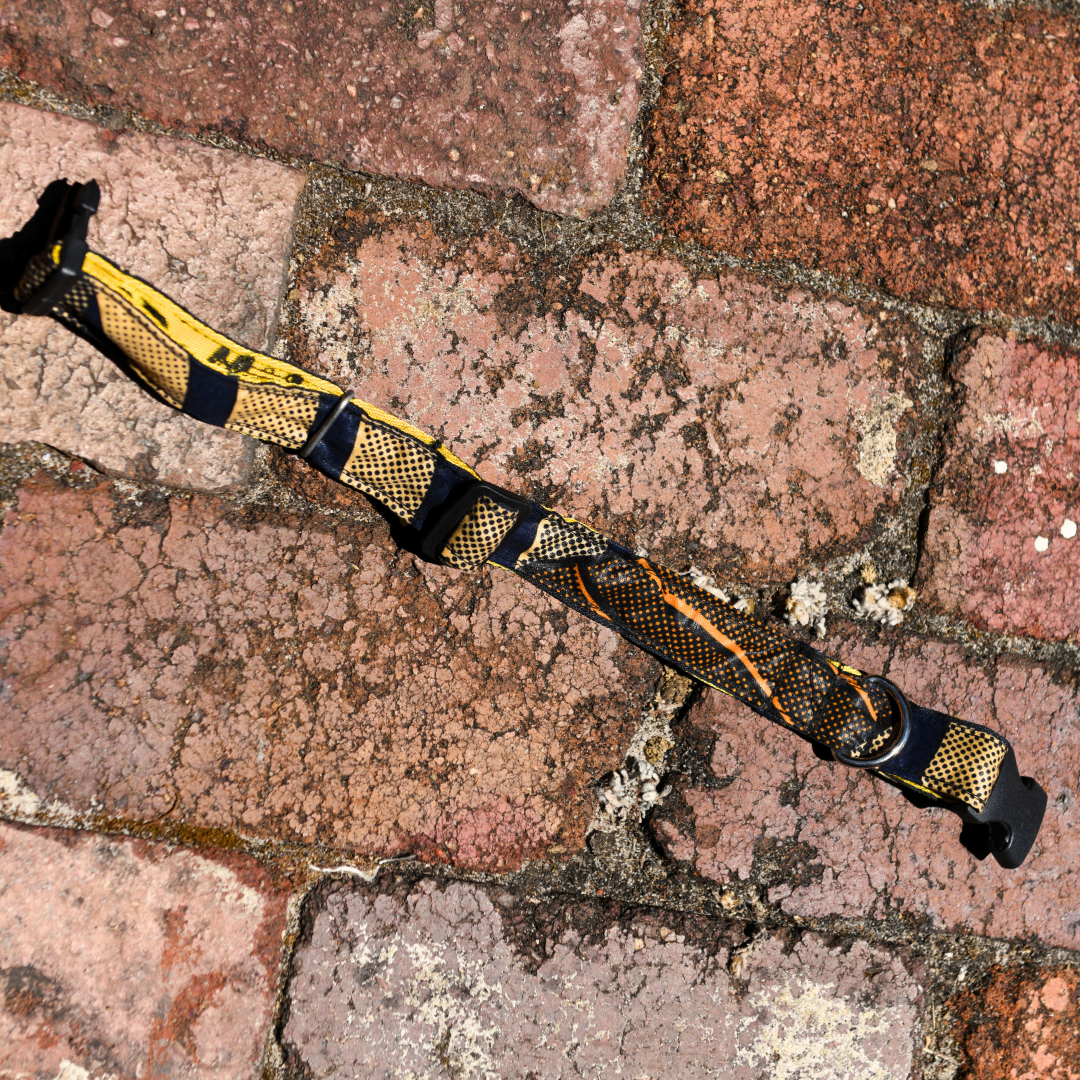 Pets | Dog Collar | Medium | Orange