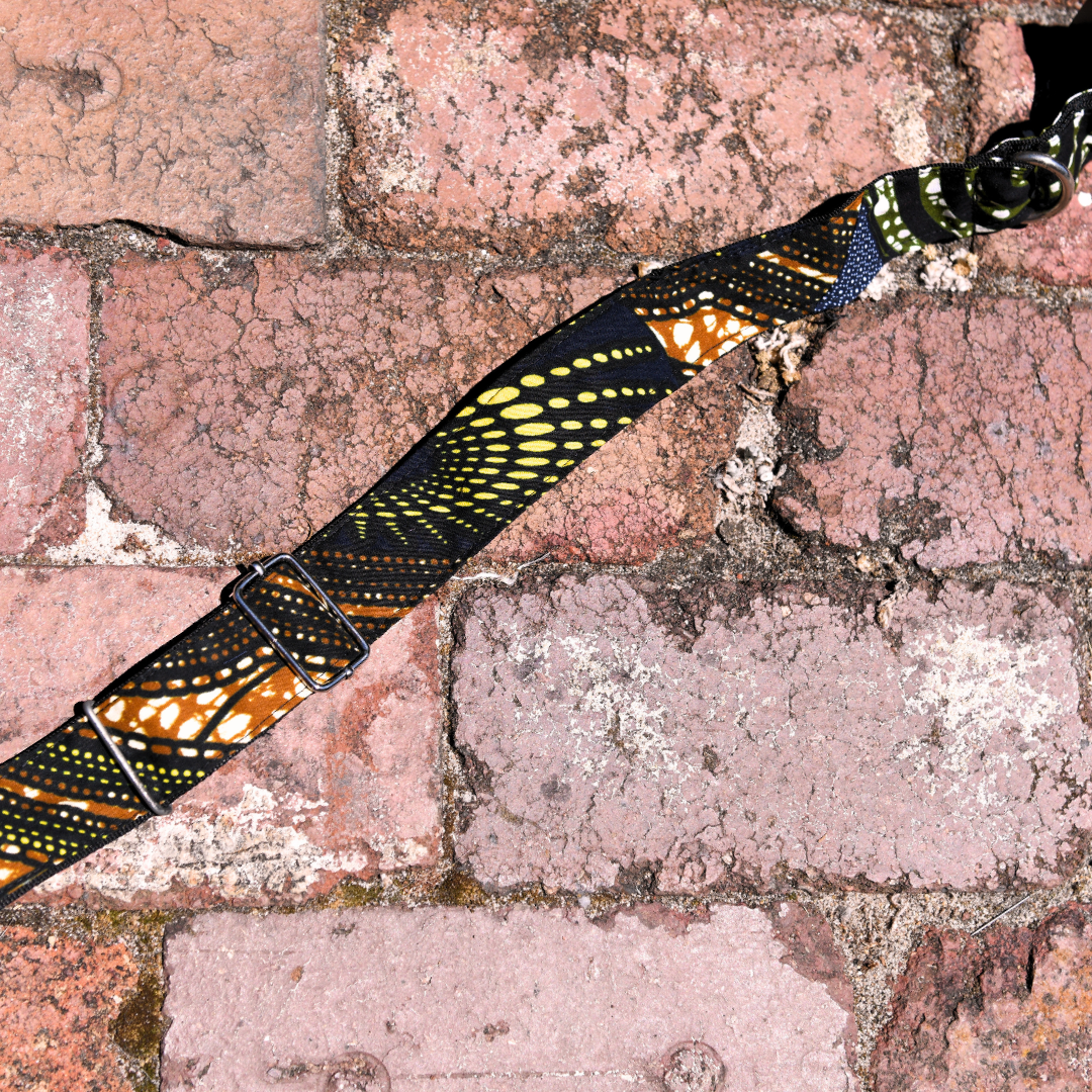 Pets | Dog Collar | Large | Brown & Blue