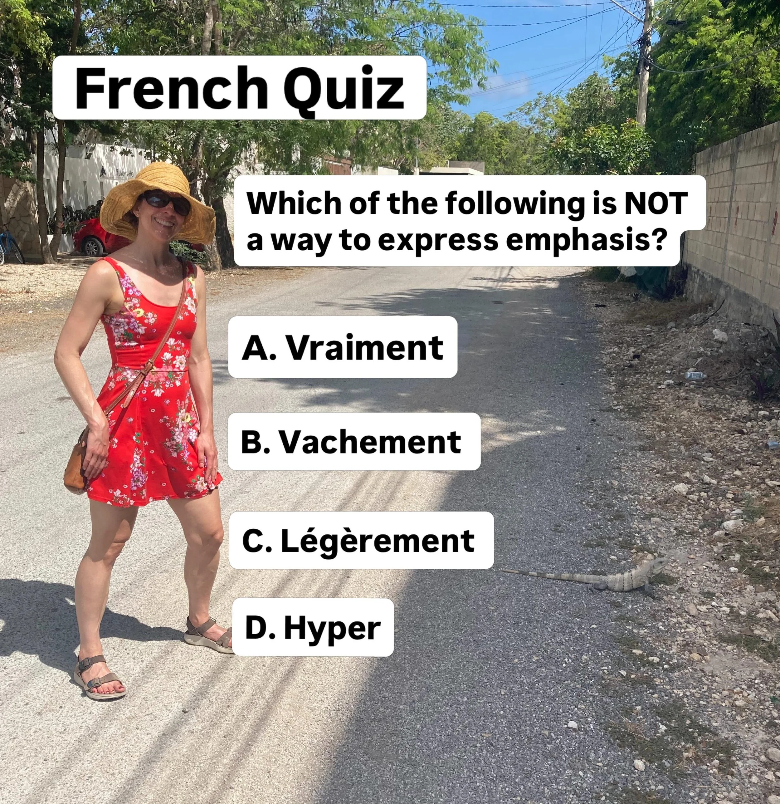 &ldquo;Really&rdquo; &ldquo;Very&rdquo; &ldquo;A ton&rdquo; - make you sound more conversational in English and so do the French versions. Which word is out of place?
