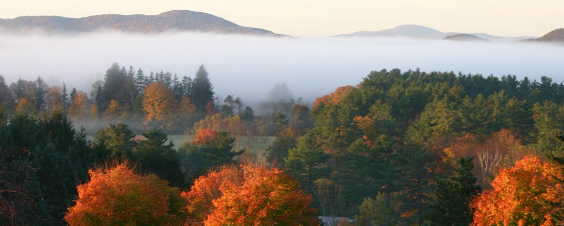 Fall Trees with mist rising.jpeg