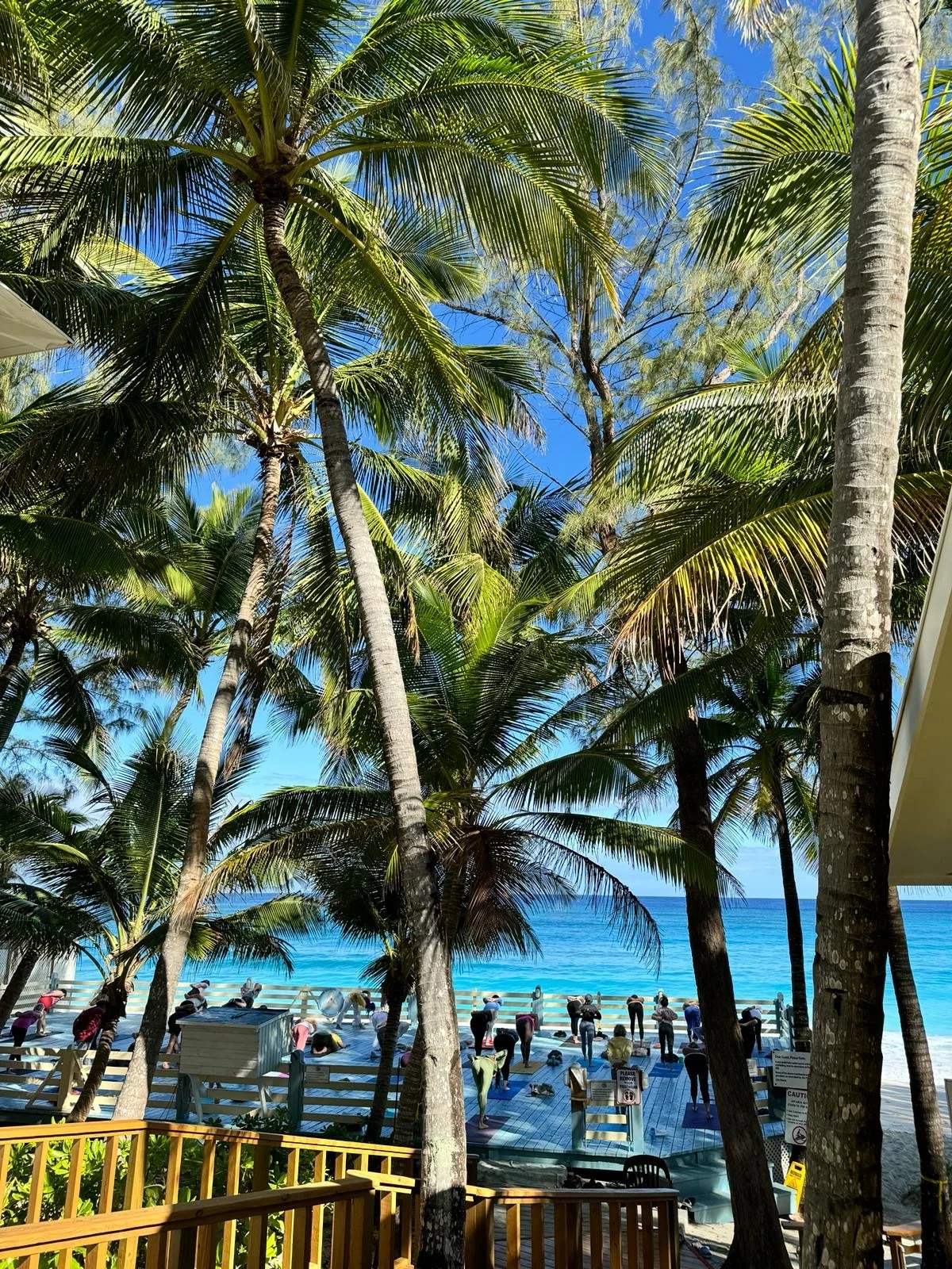 Ayurvedic Head, Face and Foot Massage Intensive (In Person)