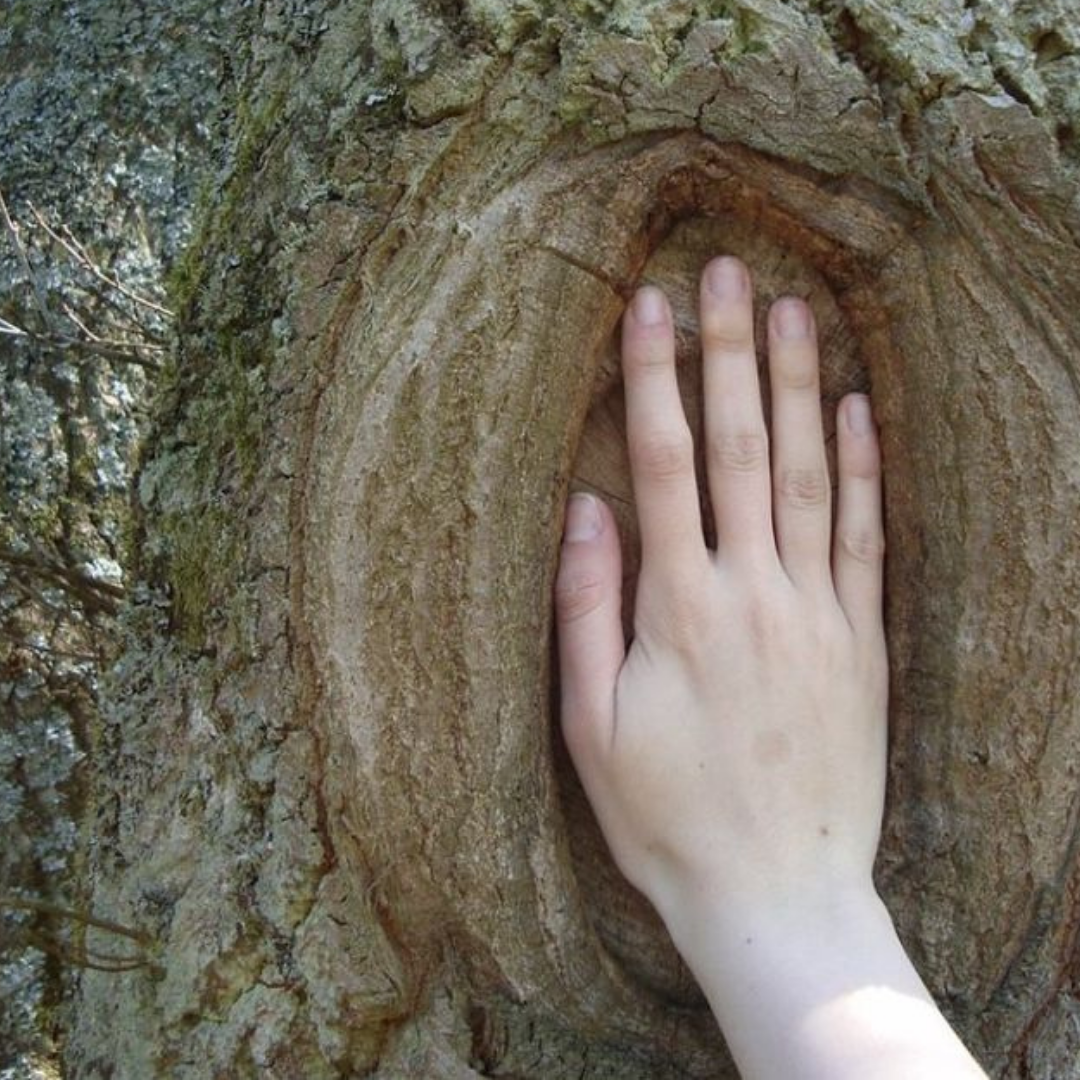 Open vs. Defined Centers in Human Design: Why Some People Absorb Everyone Else's Energy