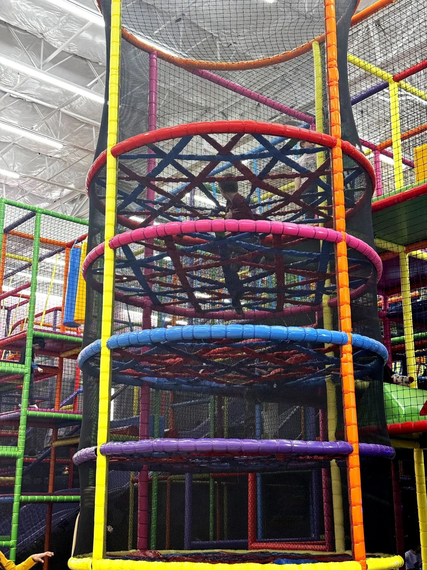 Mama Bear at the Playground: When Instinct Takes Over