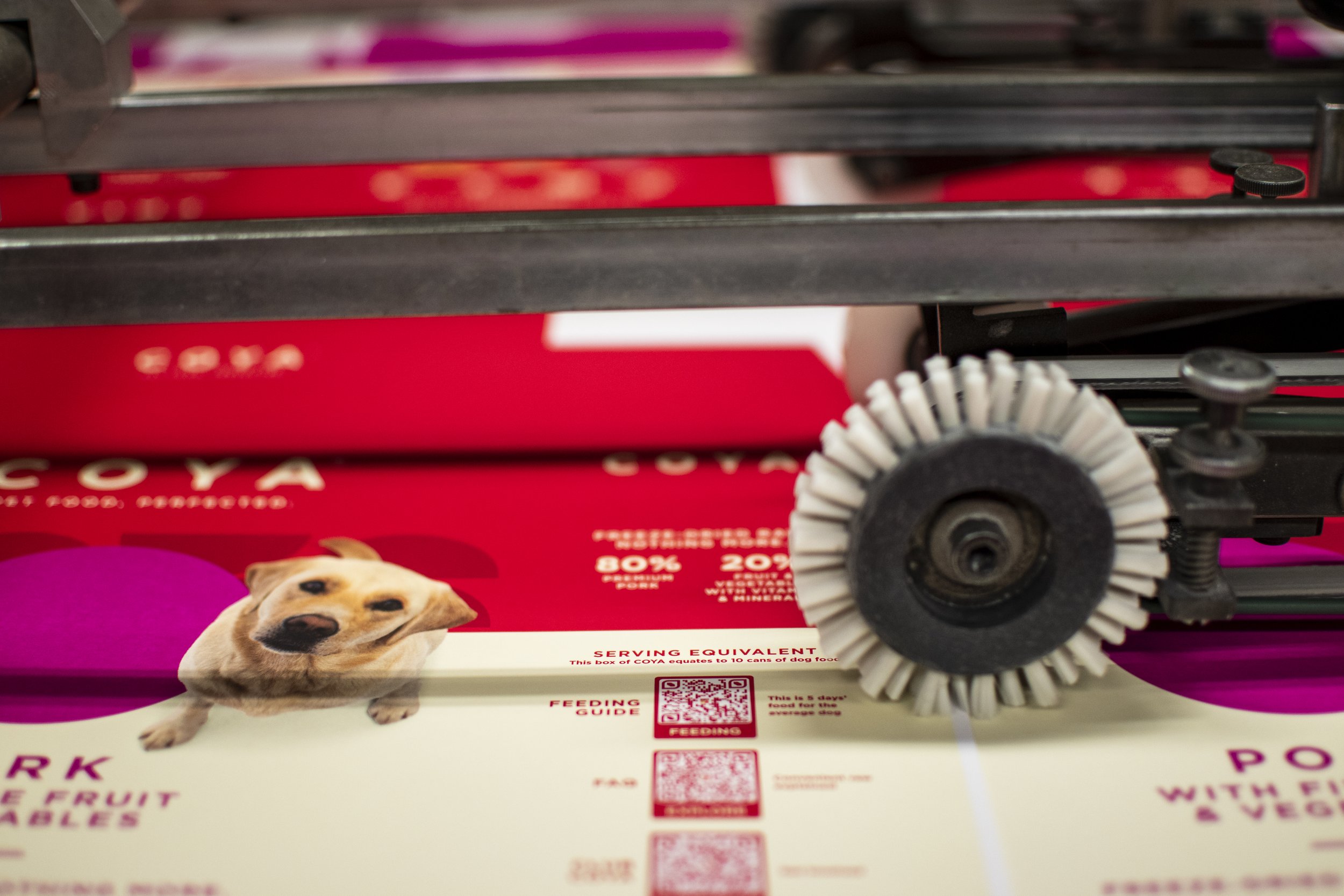 Coya on machine.jpg