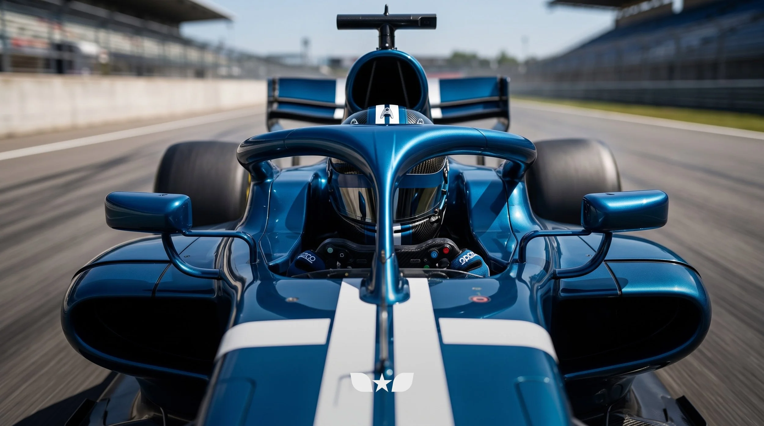 VEHICLE_MOTORSPORTF1_09.jpg