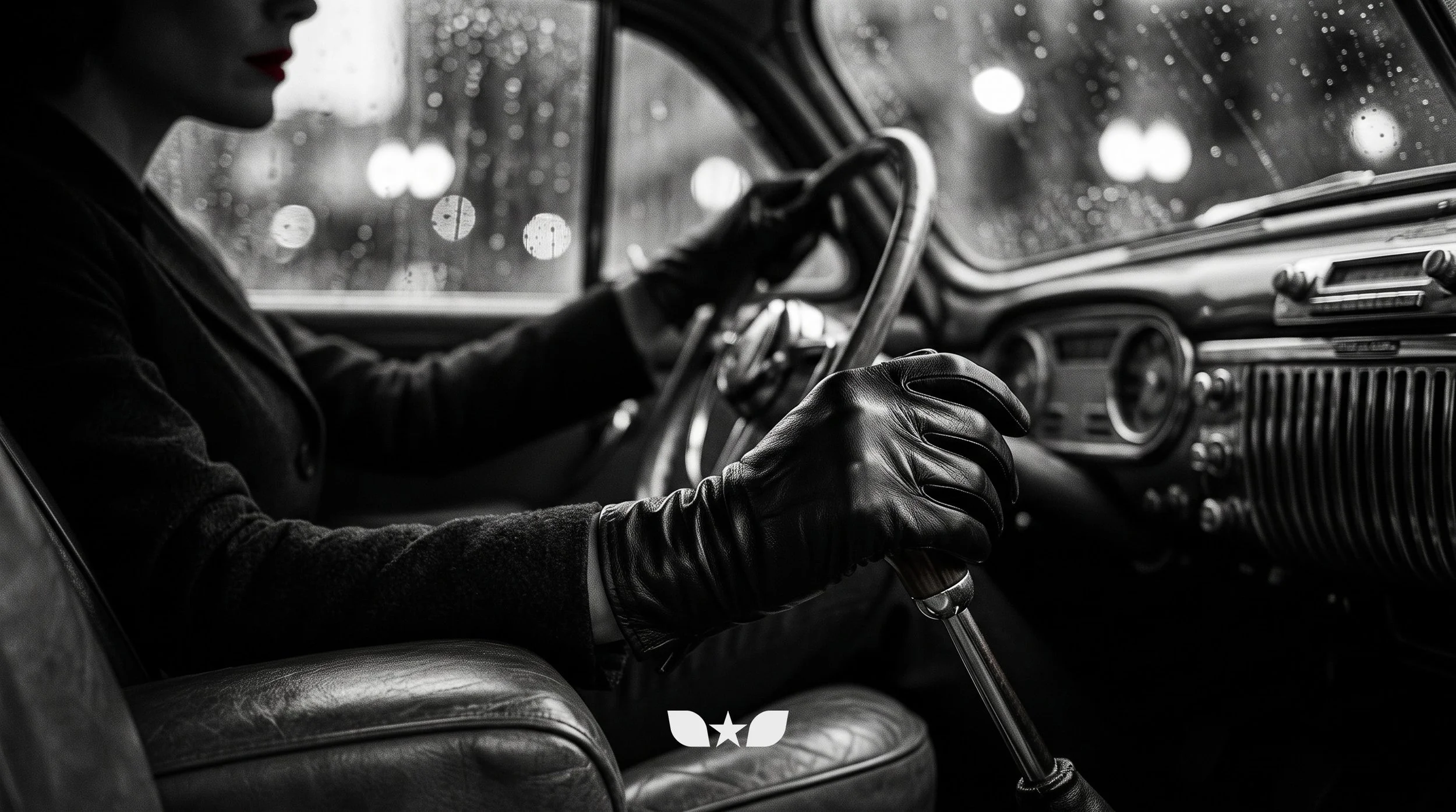 VEHICLE_NOIR_DRIVE_17.jpg