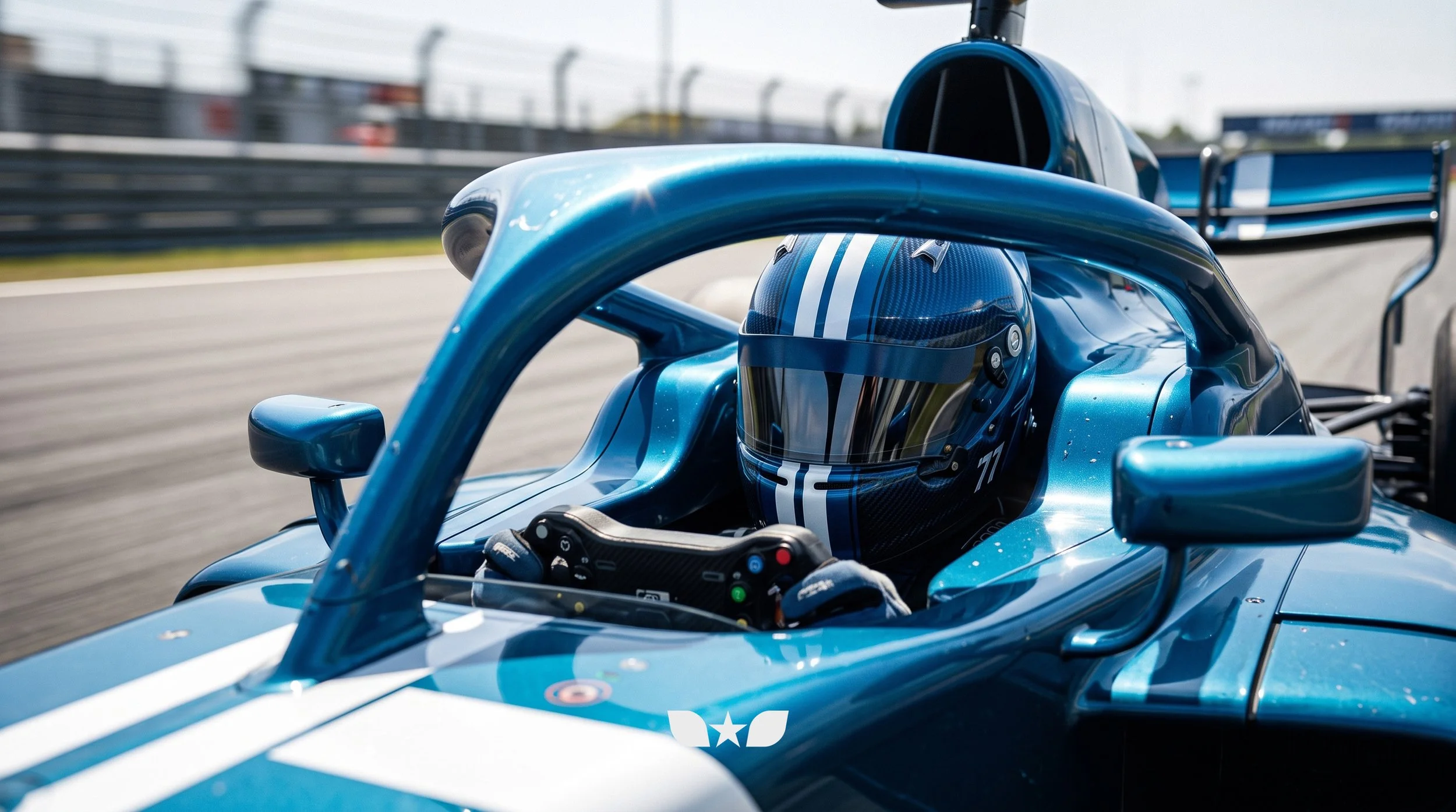 VEHICLE_MOTORSPORTF1_05.jpg