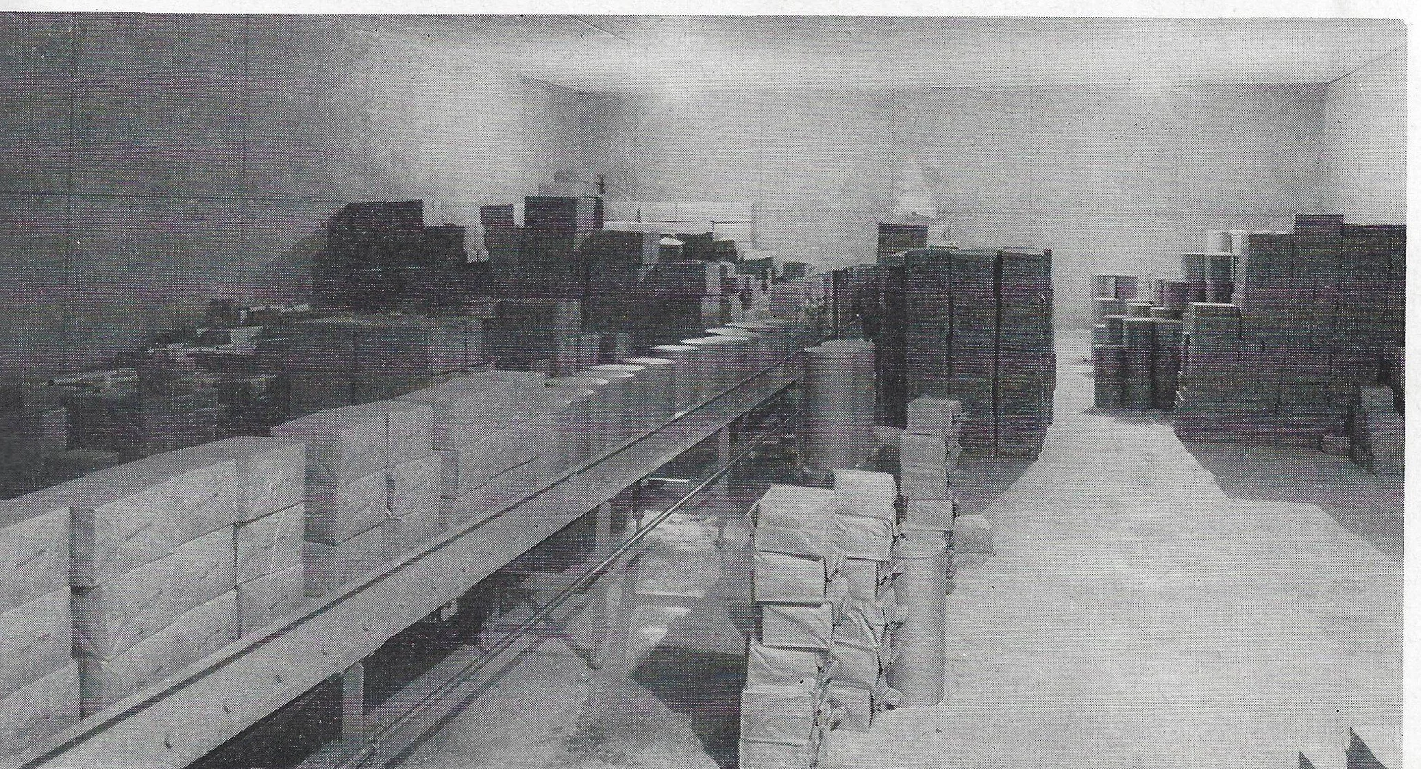 General 4 — Nu Sunrise Farms