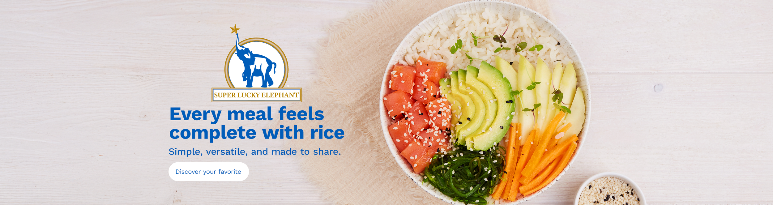 Banner SLE General.png