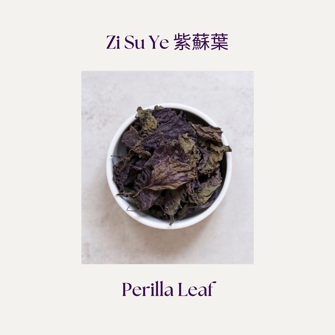 Perilla Leaf (紫蘇葉 - Zi Su Ye), also known as Shiso, is a popular medicinal herb and cooking ingredient. 

The fresh leaves are especially aromatic, similar to the qualities of mint and basil. Shiso is a delicious addition to lighter/summer dishes. I 
