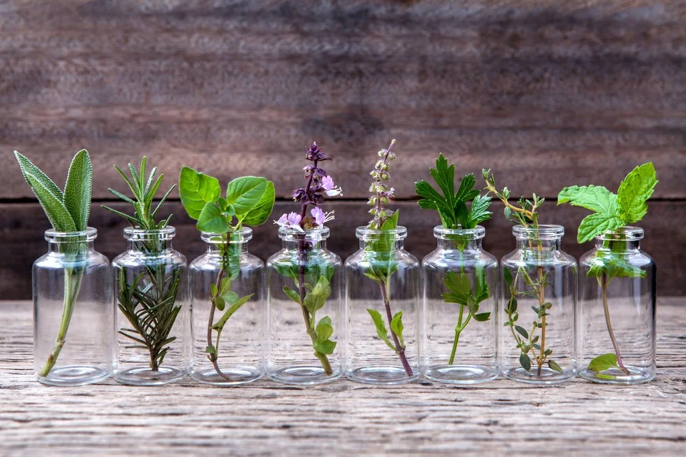 What is a Naturopathic Doctor?