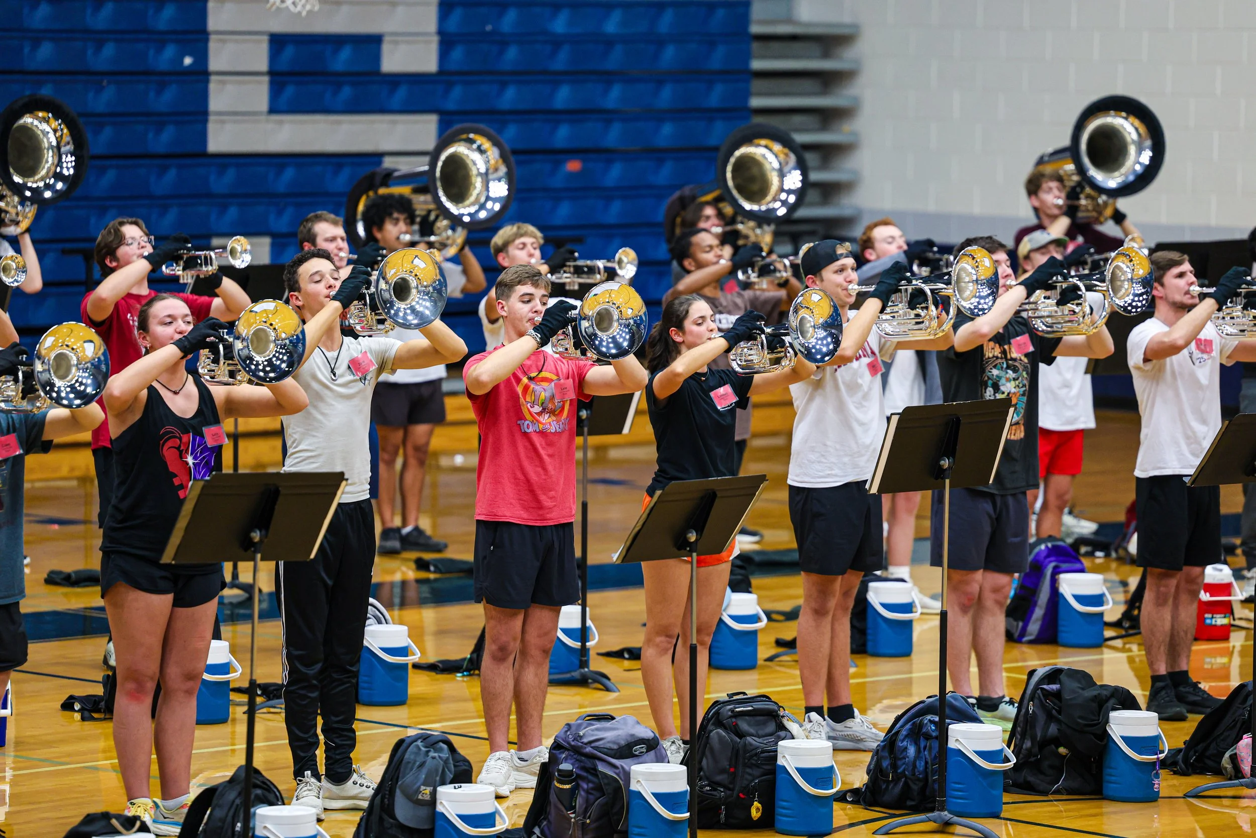 November Camp: Charlotte