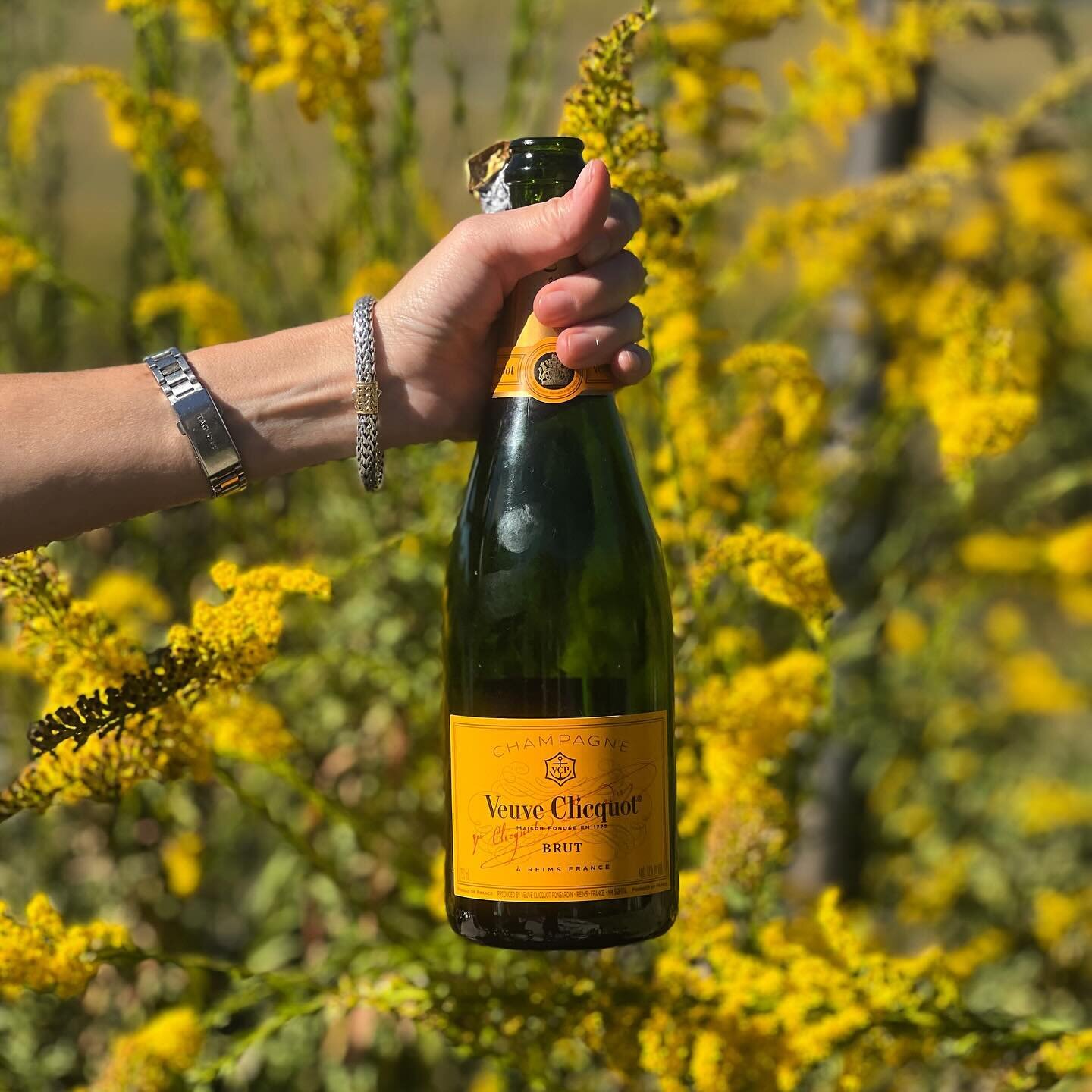 The golden hour (with the golden label). Make it @veuveclicquot 

Champagne, Prosecco, cava, sparkling, bubbles 🍾 Giddy up! 

&mdash;
#veuceclicquot #champagne #bubbly #giddyup