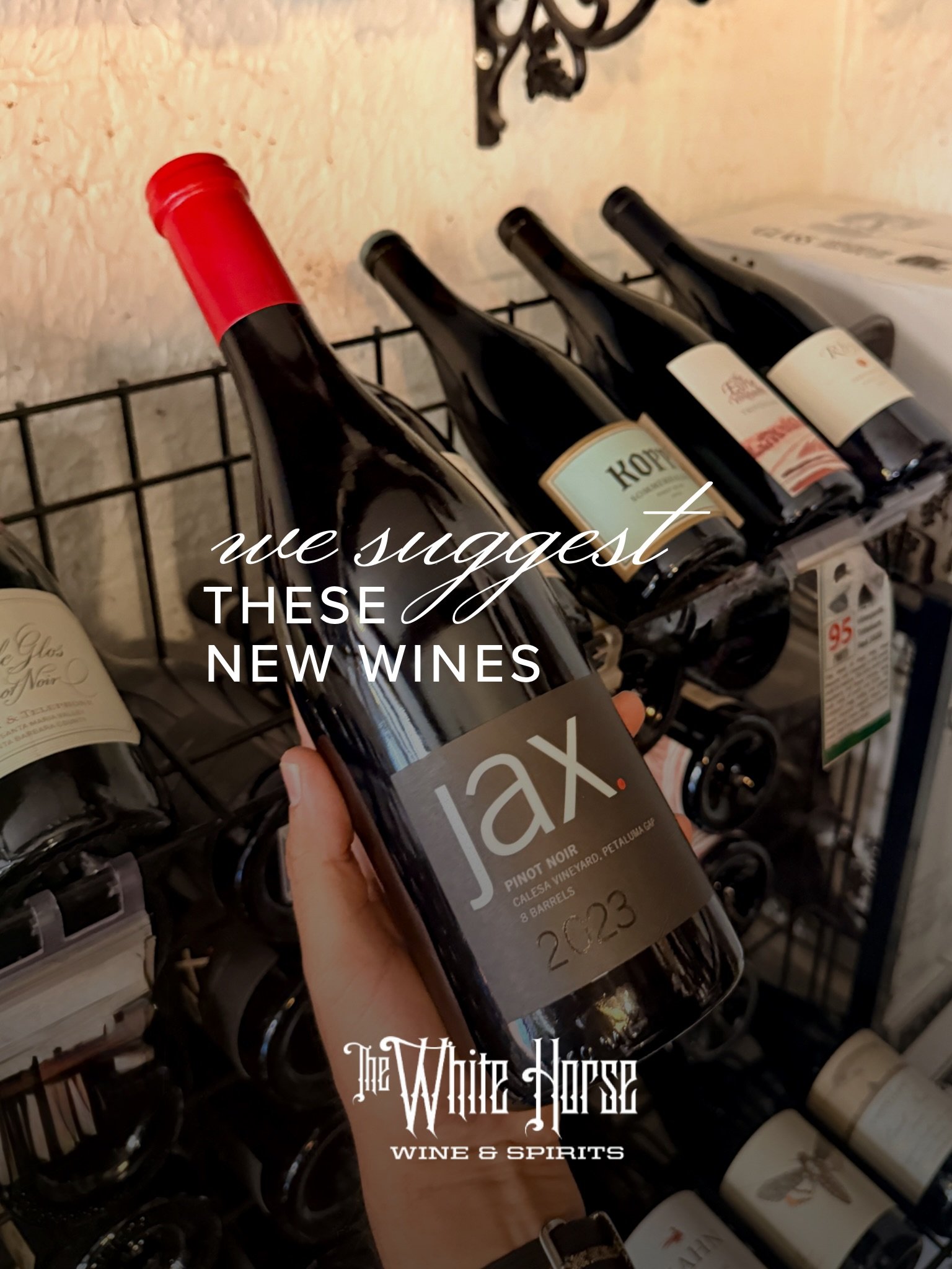 What do we suggest? 

Taking one of these new wines for a spin. 

&bull; Jax Pinot Noir 
&bull; Alice Verdeca 
&bull; Brassfield Cabernet Sauvignon 
&bull; Eruption Red Blend

#newwines #wineshop #shopsmall