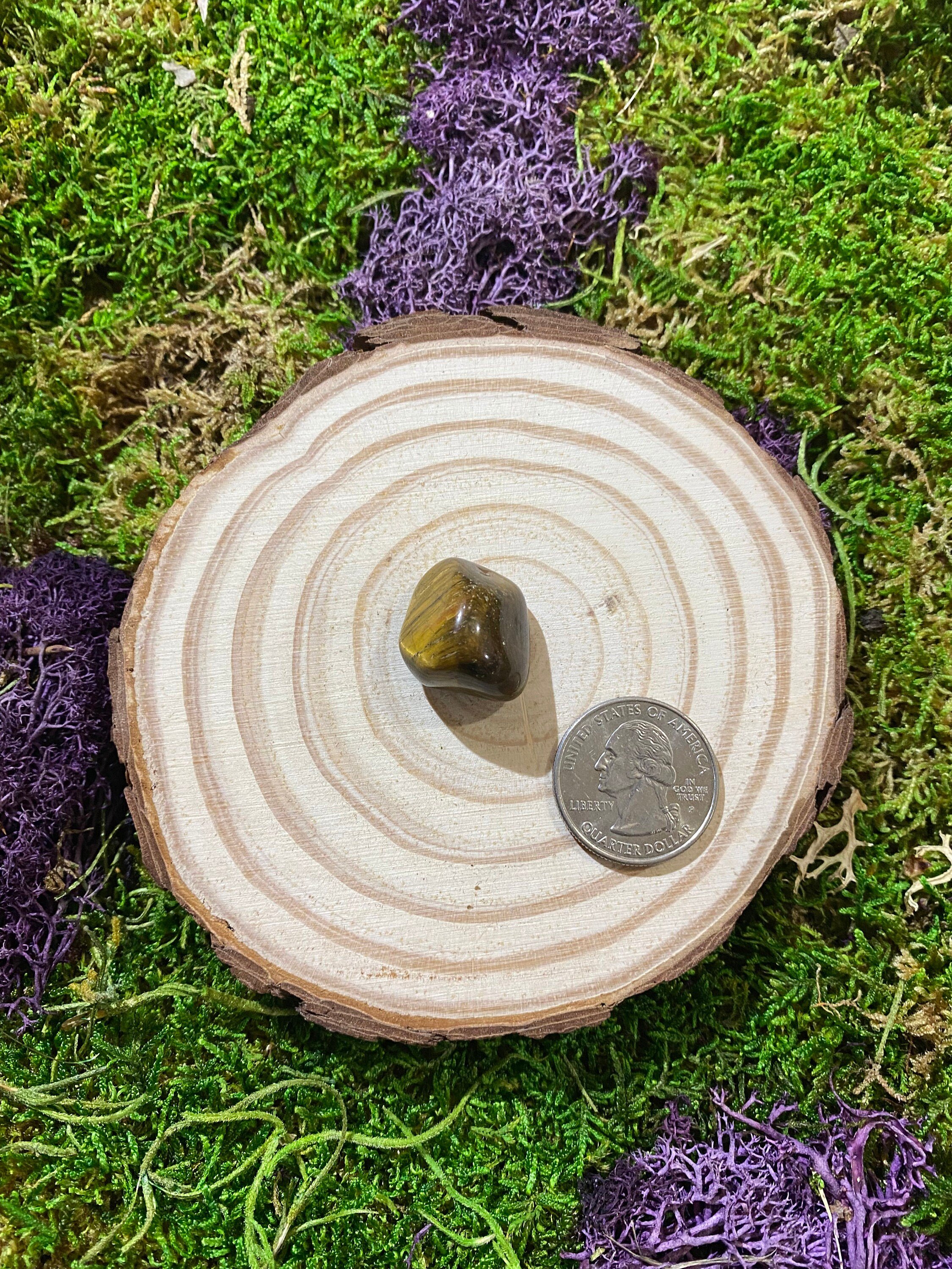 https://i.etsystatic.com/20819021/r/il/4e4754/3501292689/il_fullxfull.3501292689_r6kh.jpg