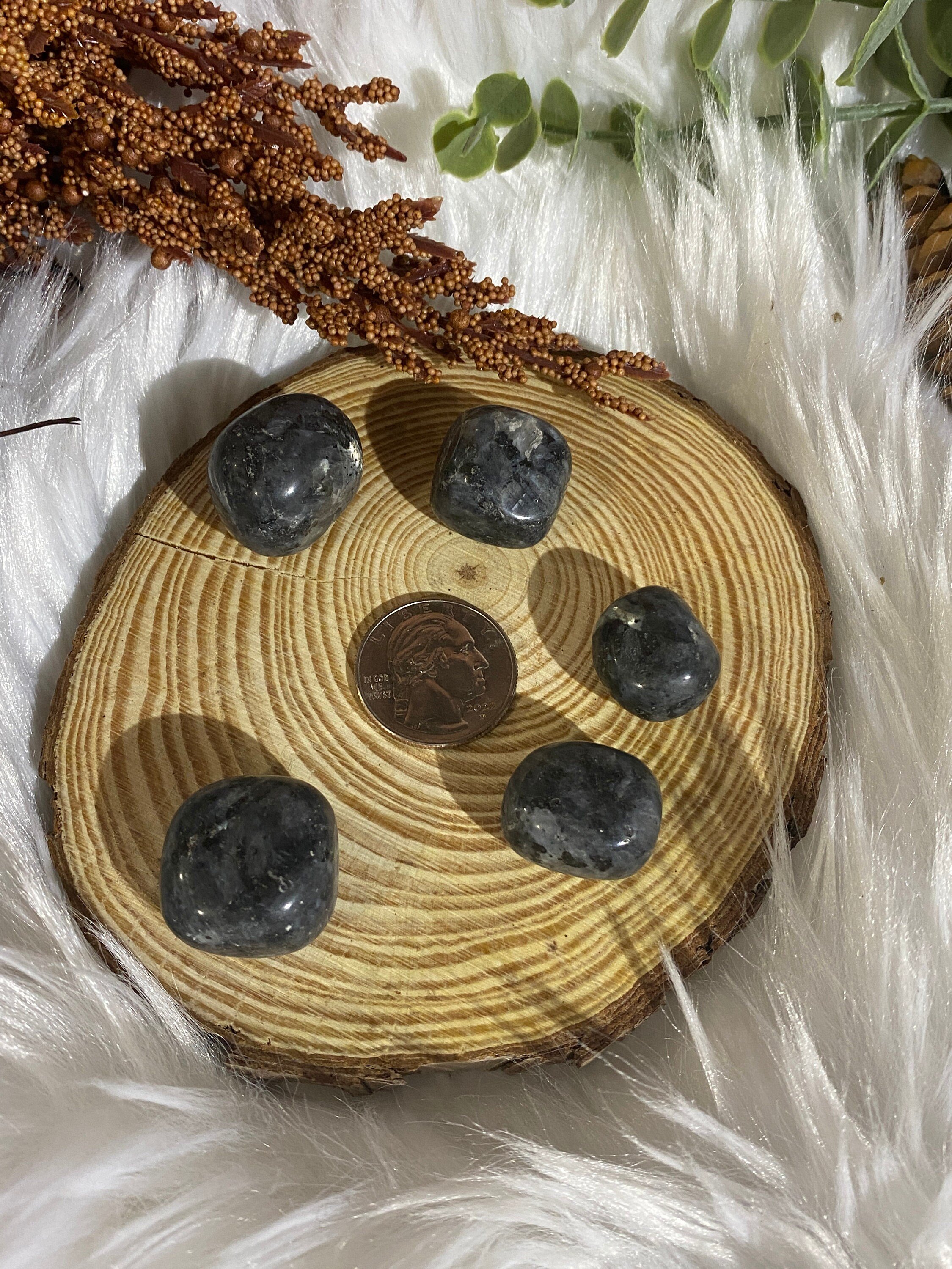 https://i.etsystatic.com/20819021/r/il/7e18e1/4806049531/il_fullxfull.4806049531_pcn3.jpg