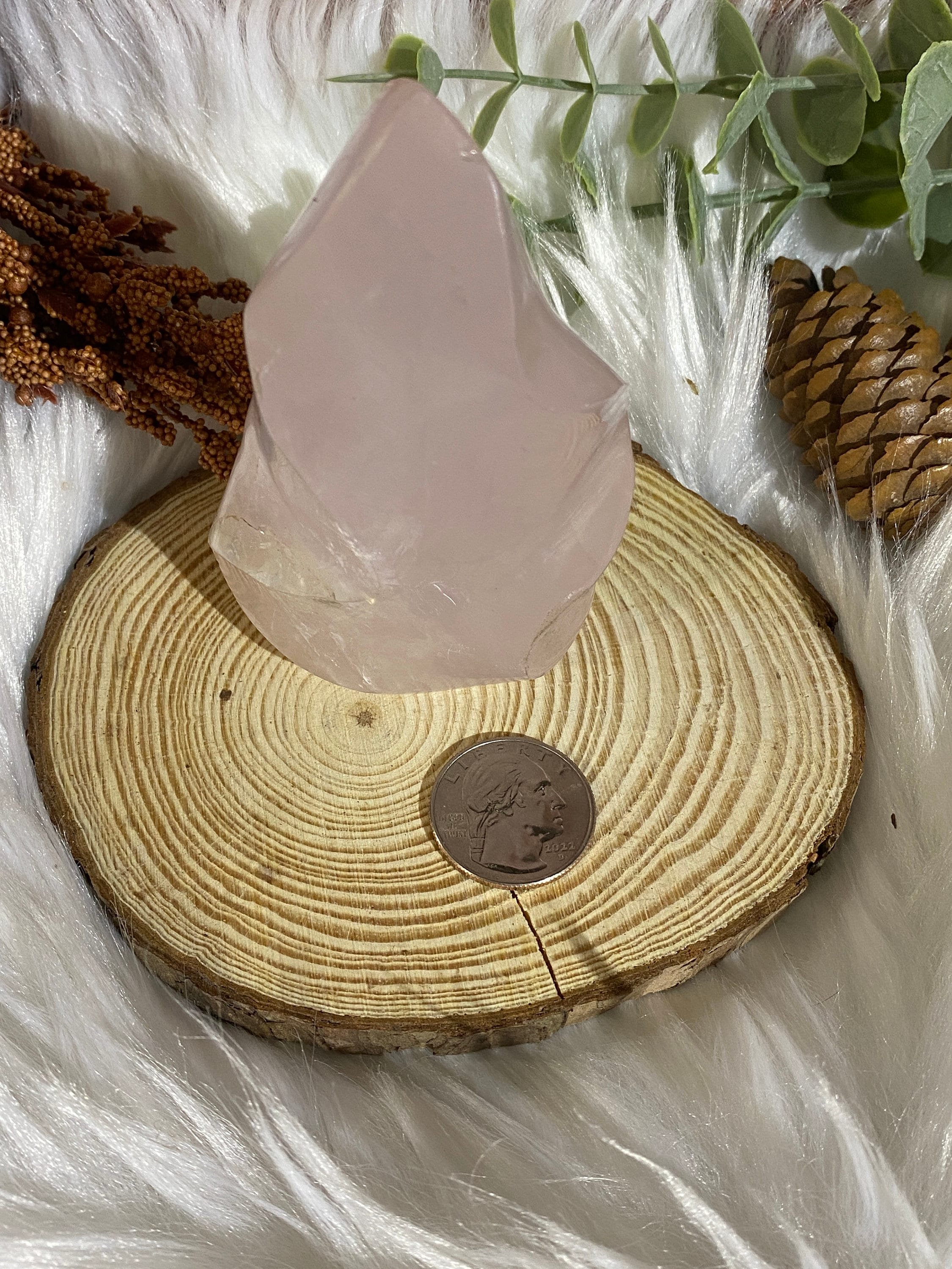 https://i.etsystatic.com/20819021/r/il/b738d5/4757717418/il_fullxfull.4757717418_ah4q.jpg