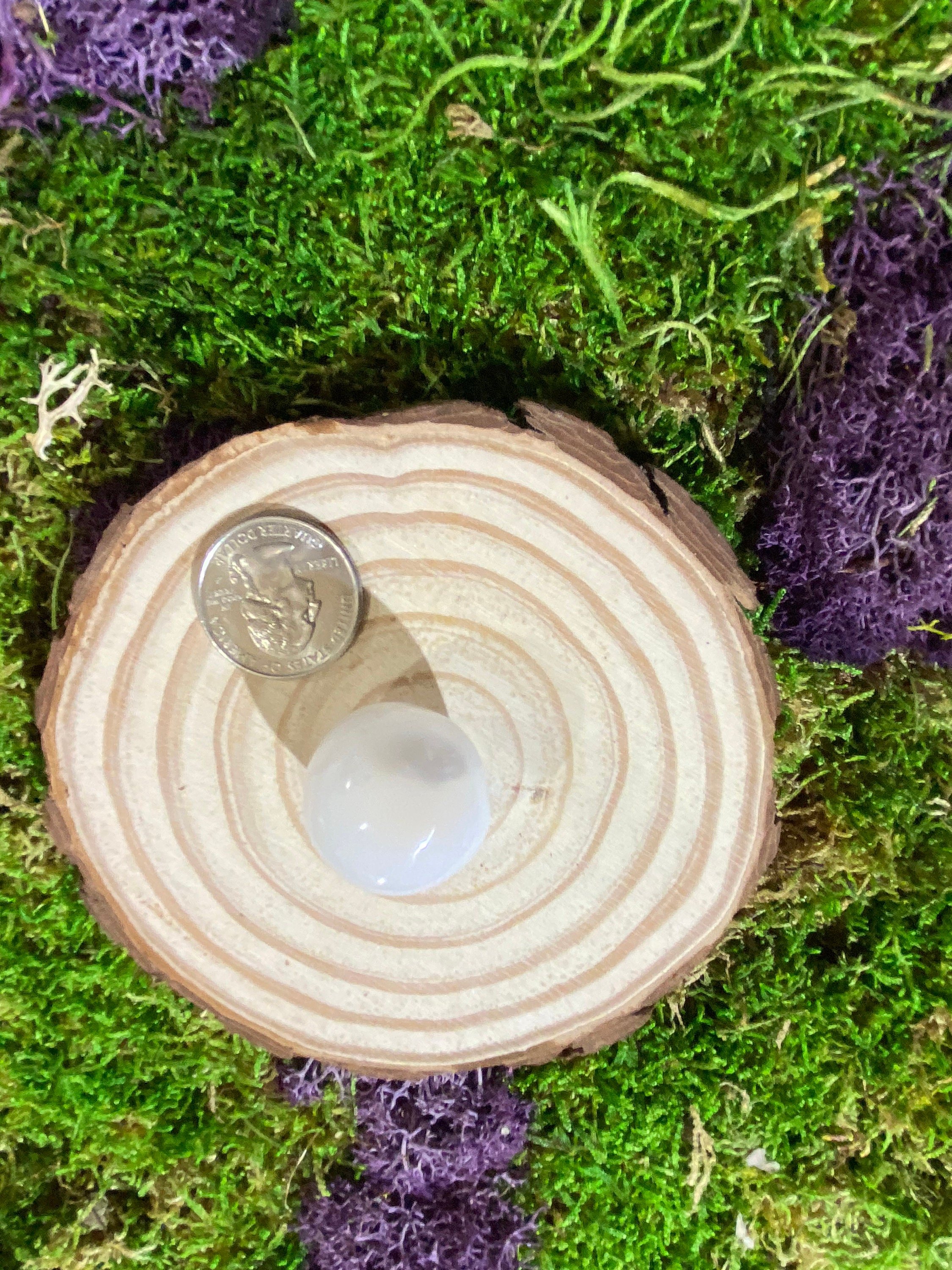 https://i.etsystatic.com/20819021/r/il/db90ab/3478784979/il_fullxfull.3478784979_60x2.jpg
