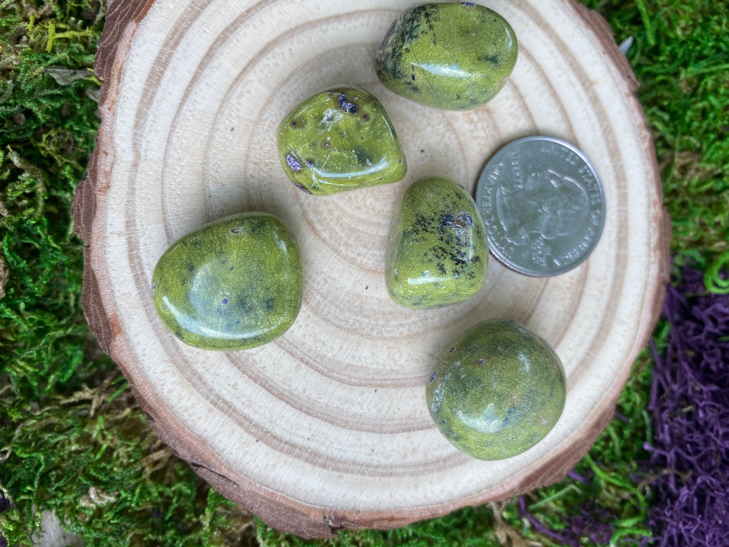 https://i.etsystatic.com/20819021/r/il/ea3867/3271681132/il_fullxfull.3271681132_ff12.jpg